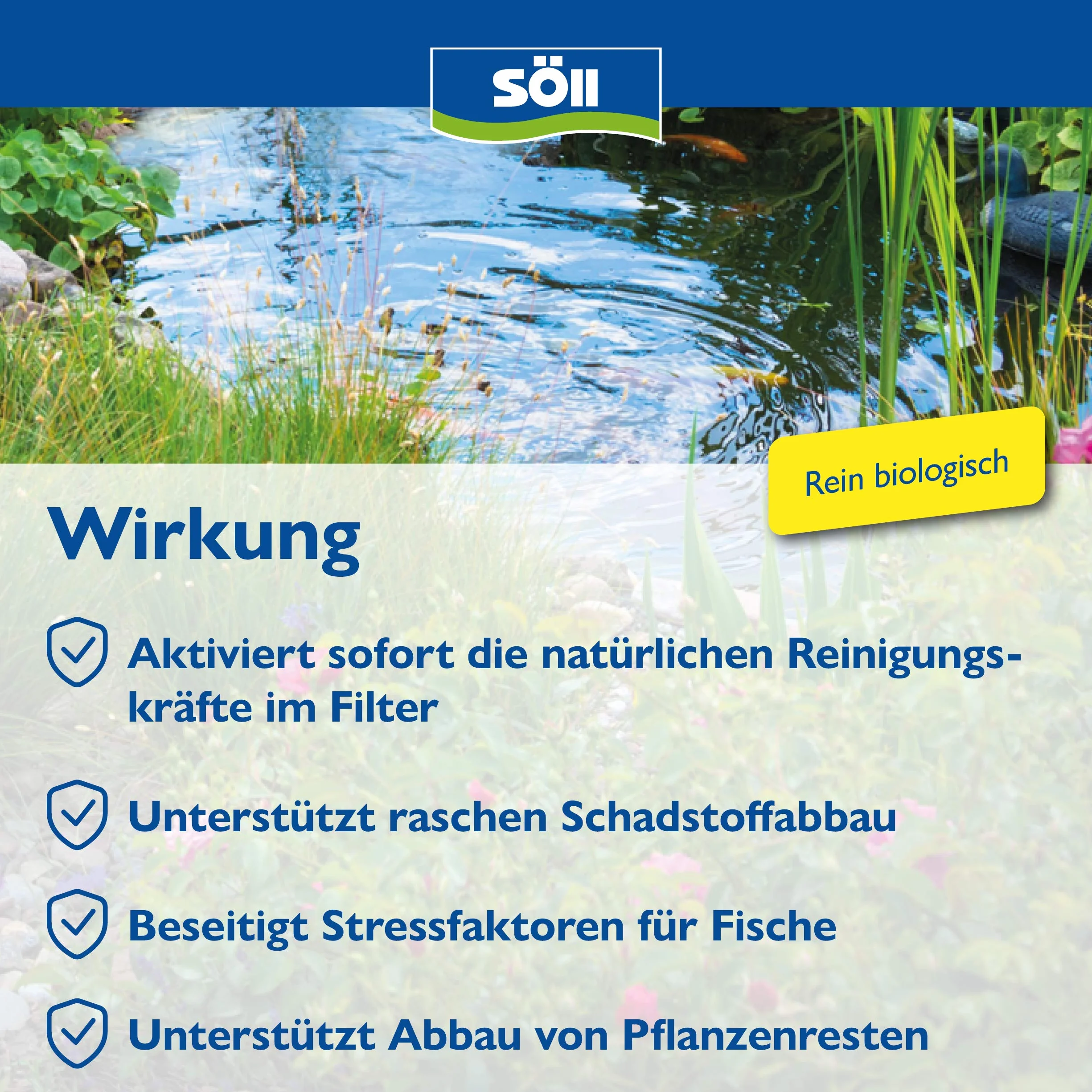 Söll 81439 bakterie do stawów 250 g naturalne bakterie filtrujące
