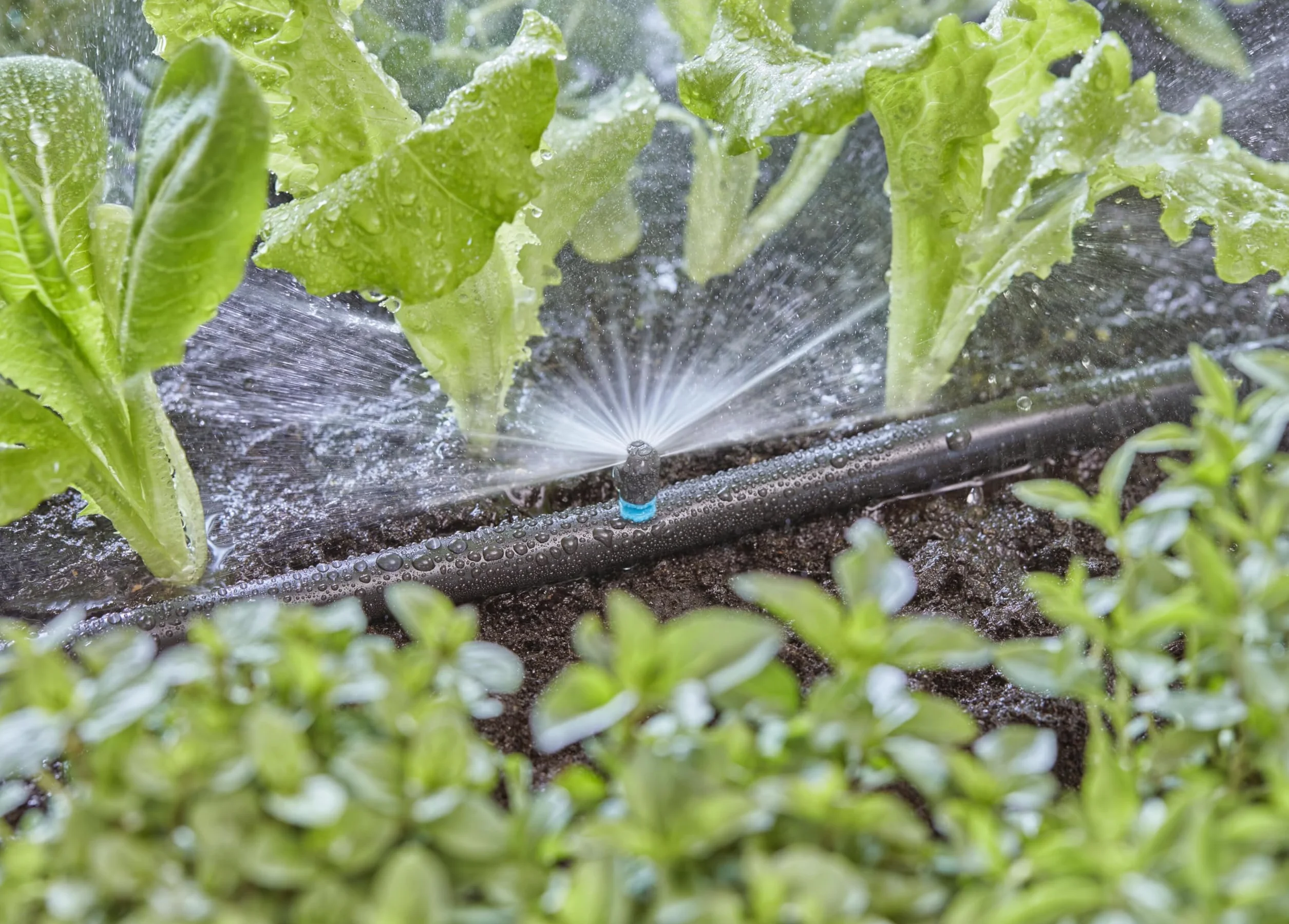 Gardena Micro-Drip dysza rozpylająca 180 stopni, regulowana, zasięg 3 m, 5 szt. (13321-20)