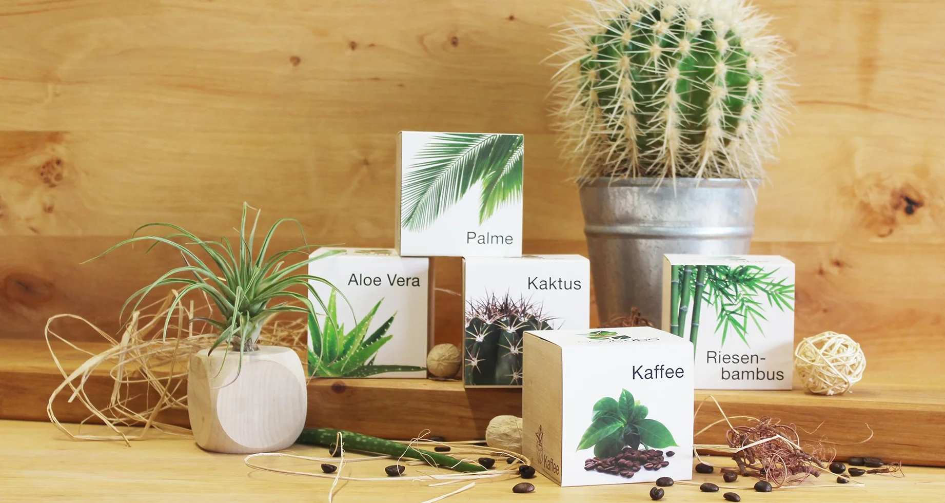 Feel Green Ecocube Zestaw do Uprawy, Wielokolorowy, 1 Zestaw