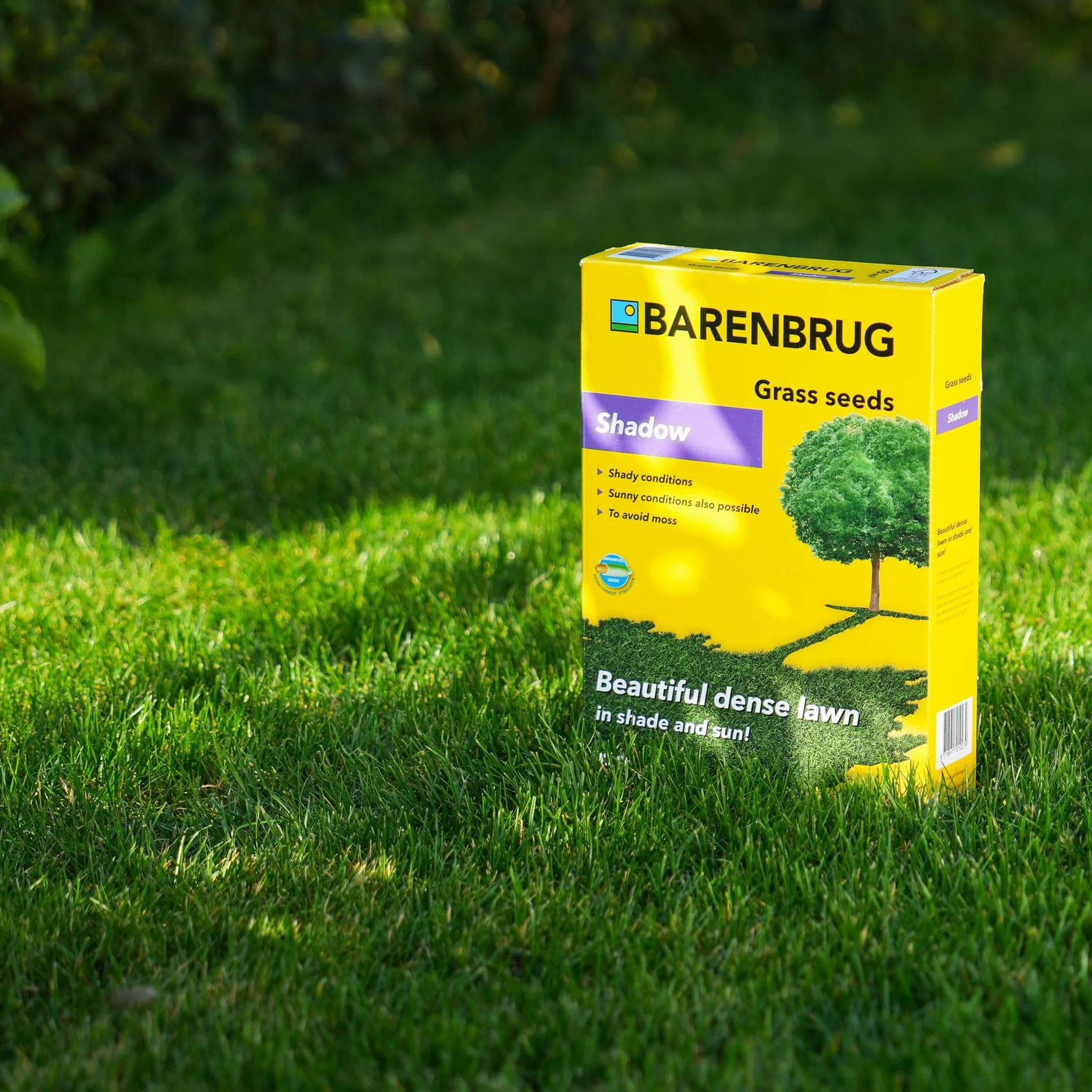 Barenbrug Shadow Trawa na Cień 5kg Nasiona Trawy