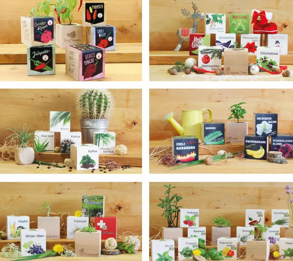 Feel Green Ecocube Zestaw do Uprawy, Wielokolorowy, 1 Zestaw