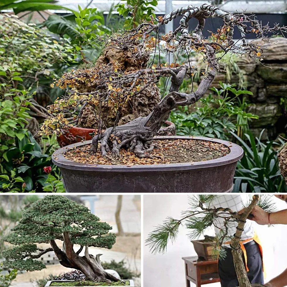 Aluminiowy drut treningowy do bonsai 3 rozmiary 1 mm 1,5 mm 2 mm czarny