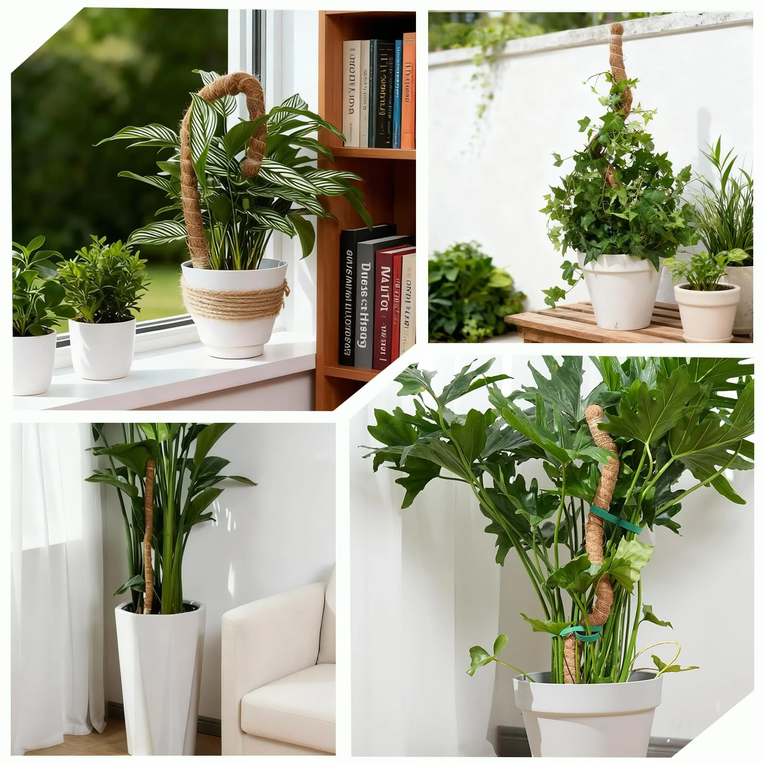 Bamworld Słupek do mchu, 2 szt., 69,8 cm, do podparcia roślin, monstera Coco Coir, wsparcie dla małych roślin pnących doniczkowych do wzrostu w górę