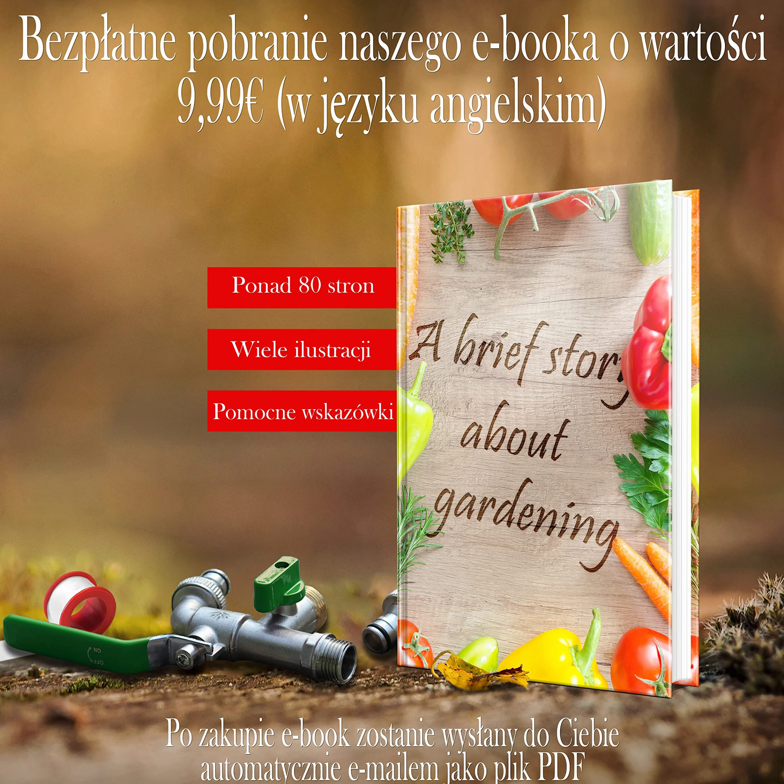 SHYNE Premium kran z mosiądzu 1/2 cala odporny na rdzę i mróz przyłącze węża