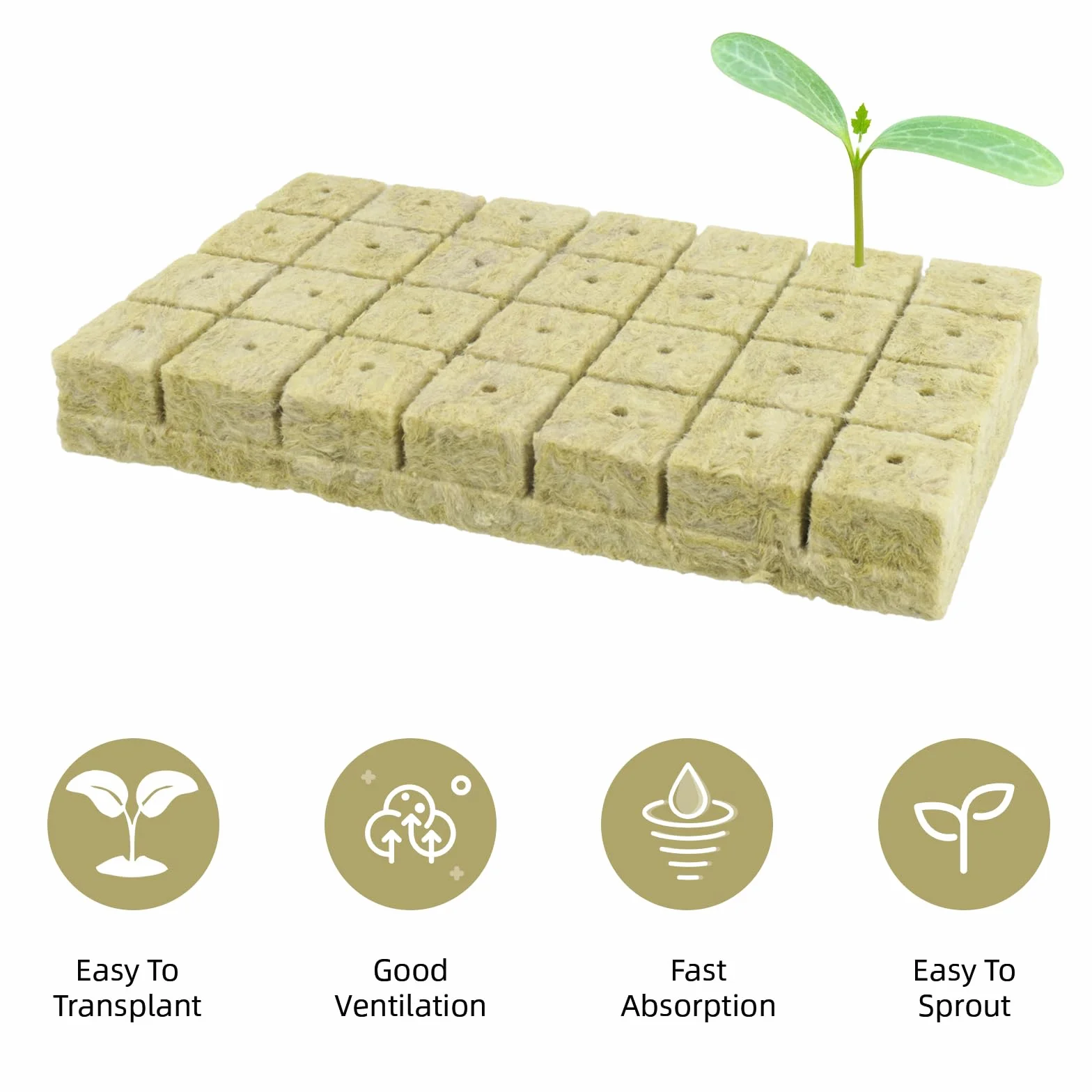 Rockwool Cube wełna kamienna 56 sztuk hydroponika podłoże uprawne