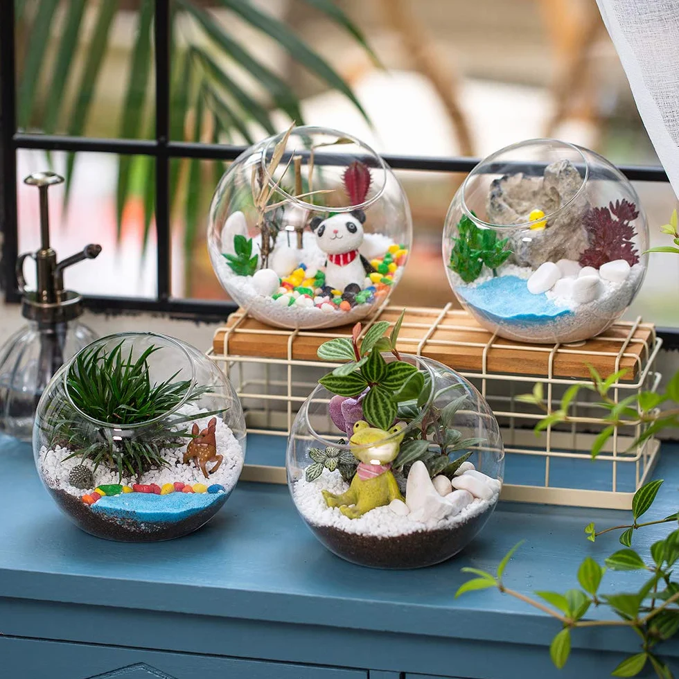 Terrarium na rośliny powietrzne, szklane pojemniki na wazon 12 cm (2 szt.), ekspozycja stołowa na sukulenty, kaktus, świecę