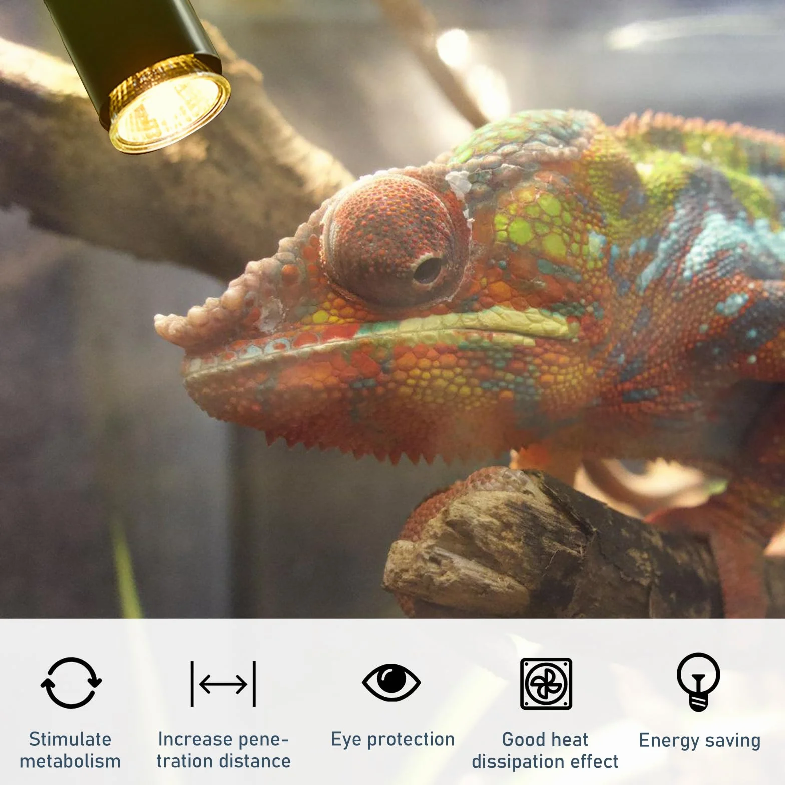 GBKDQQ Oprawka do lampy E27 z klipsem, lampa zaciskowa z przełącznikiem i wtyczką, lampa zaciskowa z regulowaną 360° łabędzią szyją, oprawa E27 do lampy typu łabędzia szyja, lampa biurkowa, lampka do