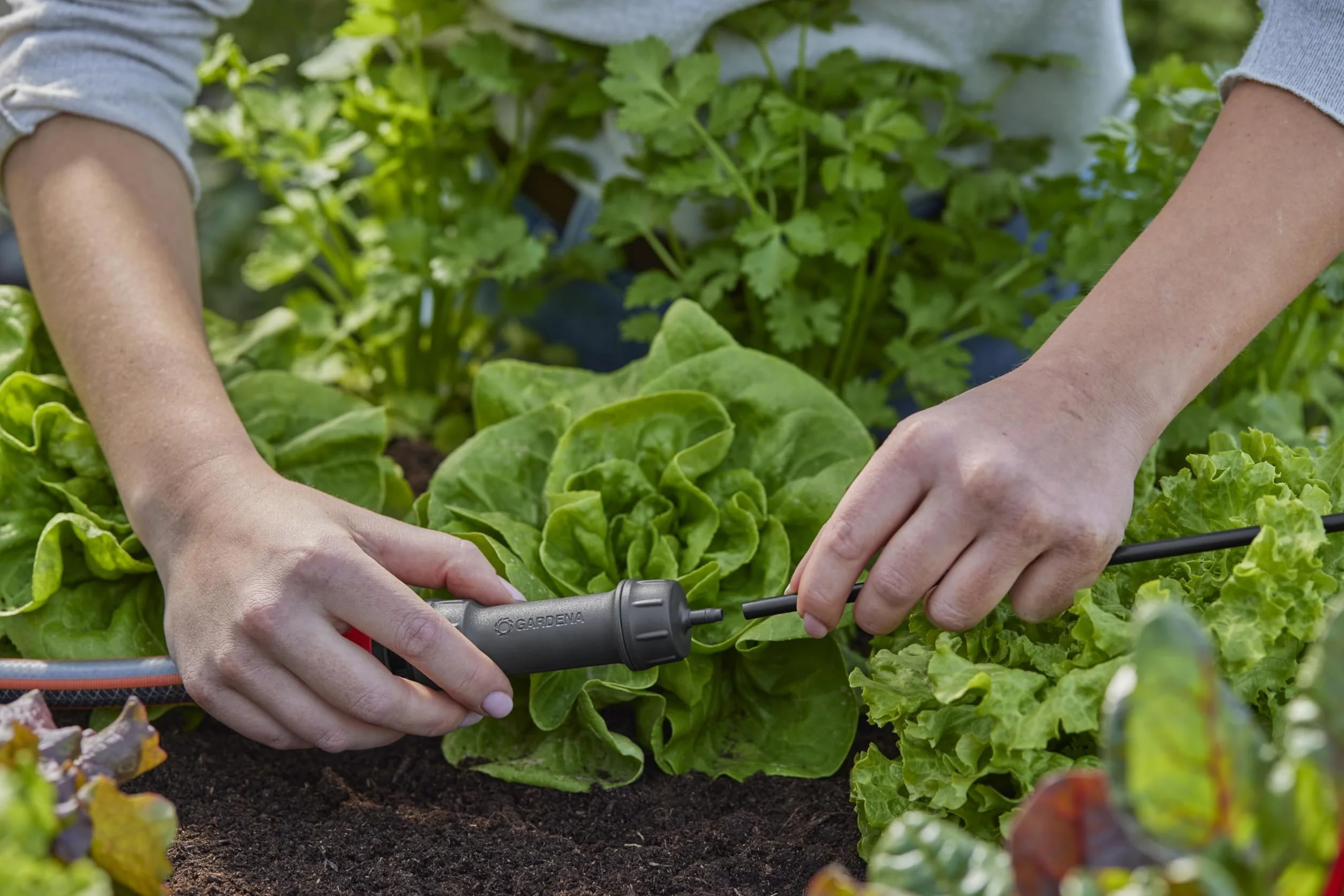 Gardena system Micro-Drip urządzenie podstawowe 1000: Moduł początkowy automatycznego systemu nawadniania, redukuje ciśnienie i filtruje wodę, prosta technika połączeniowa (13333-20)