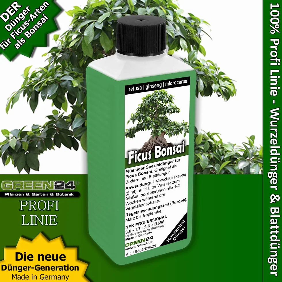 Nawóz do bonsai Ficus Ginseng retusa microcarpa, chińska figa, nawóz płynny