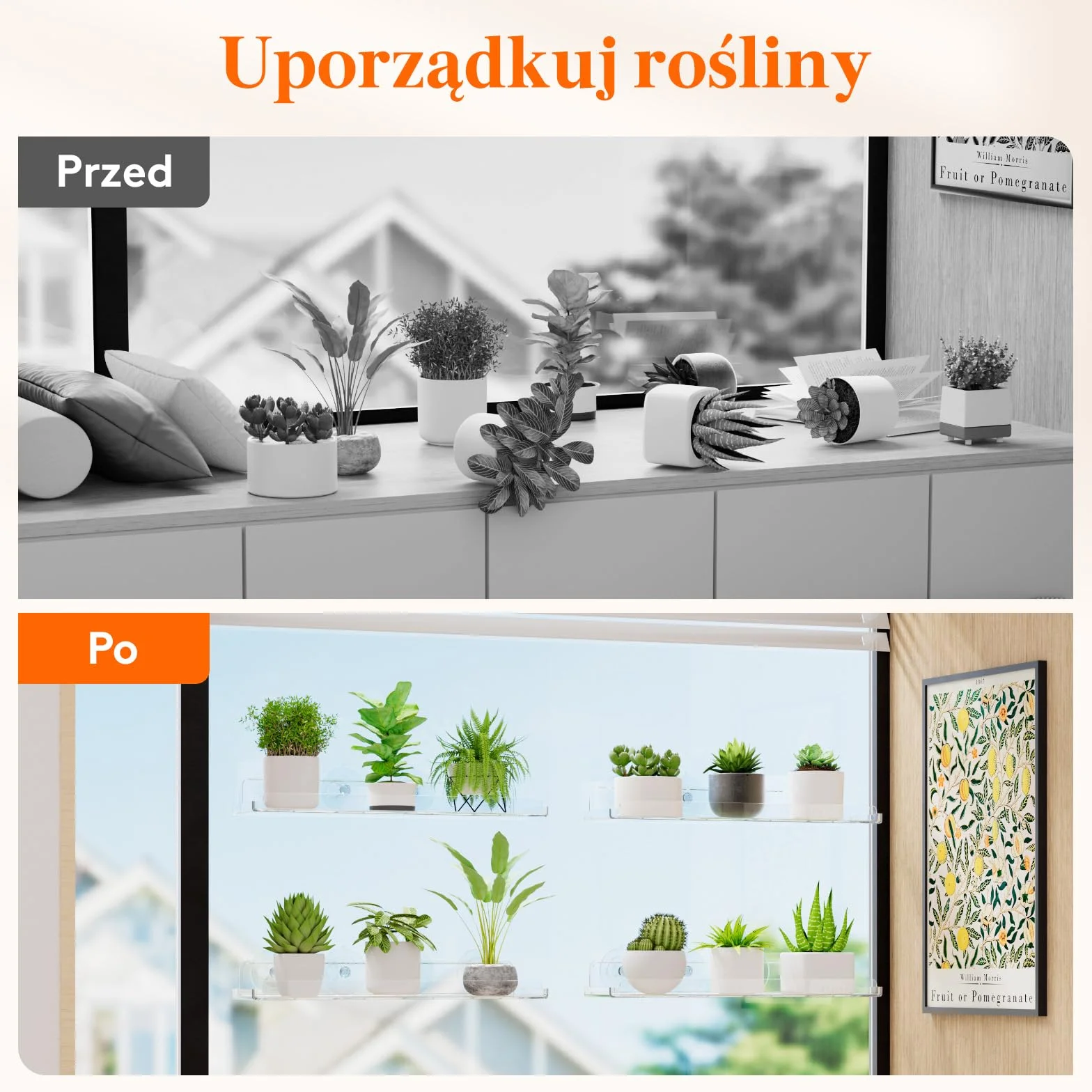 Pływające półki okienne na rośliny Lifewit 15 cali, 2 akrylowe półki z przyssawkami, przedłużacz parapetu do wewnętrznych sukulentów, mikro zieleni, doniczki na nasiona, sadzarki do ziół