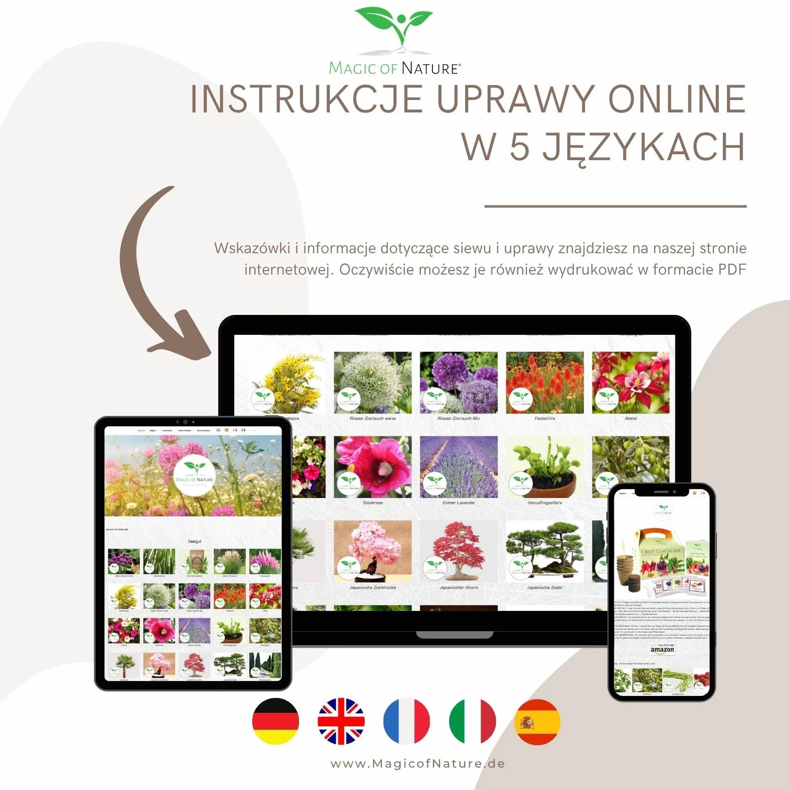 Dionaea muscipula Muchołówka amerykańska nasiona ok. 20 szt. Roślina owadożerna doniczkowa