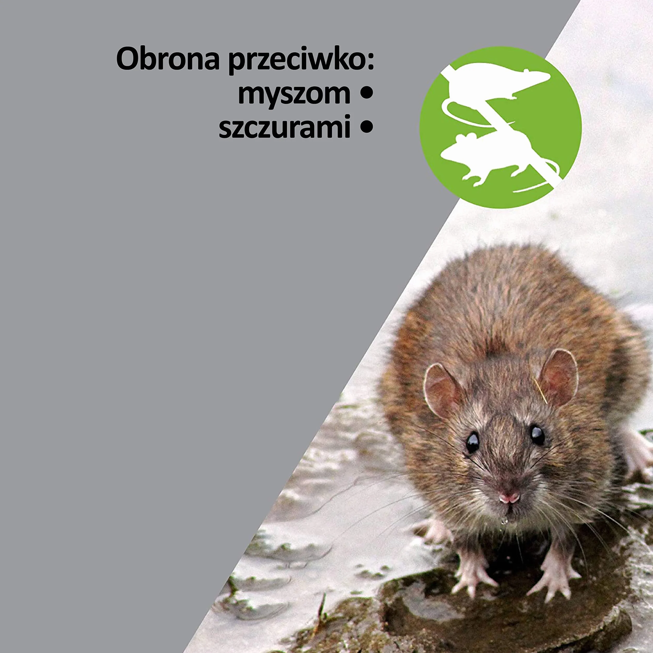ISOTRONIC 2-częściowy zestaw ultradźwiękowych odstraszaczy myszy i szczurów zasilany bateriami