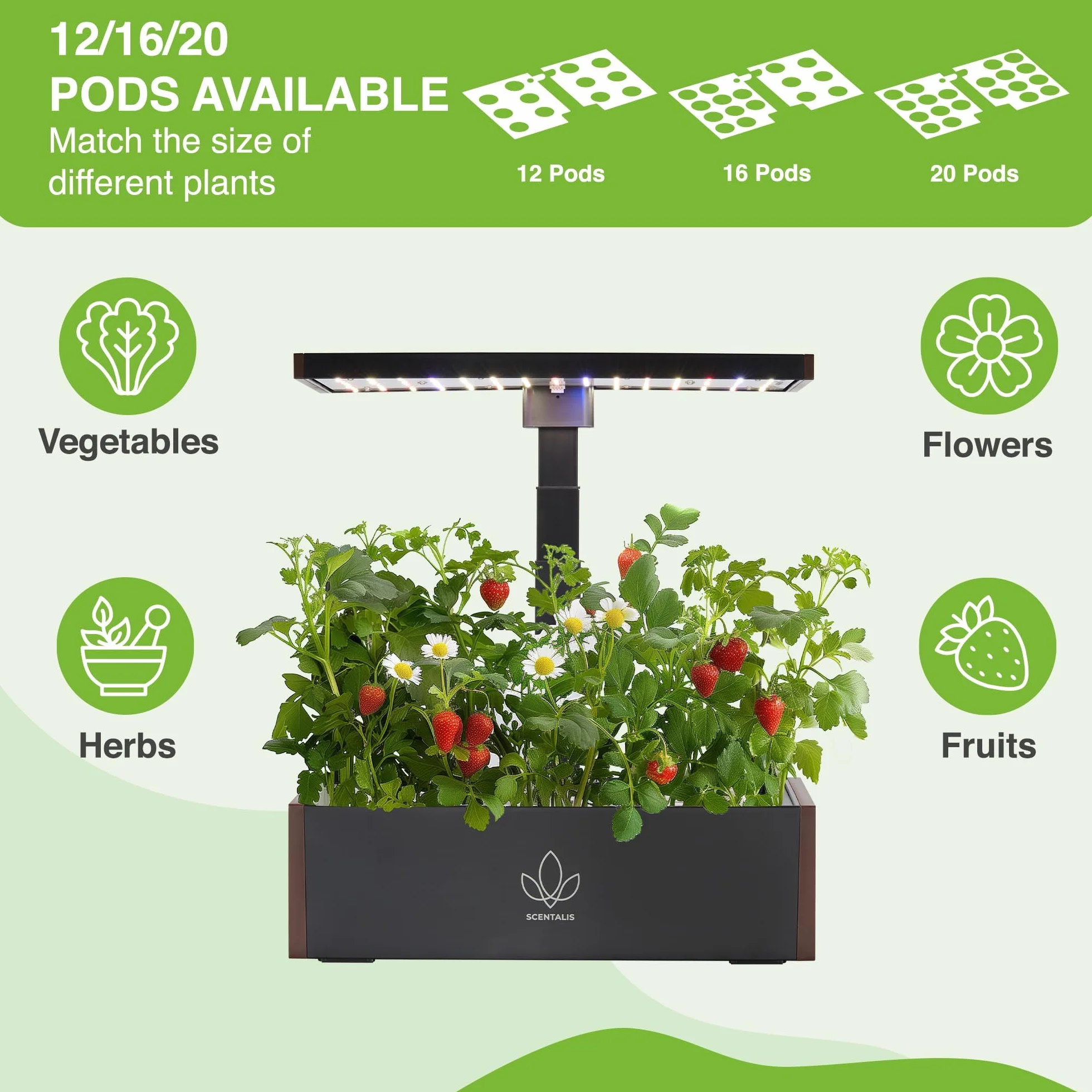Vita Hydroponic Growing System Kit