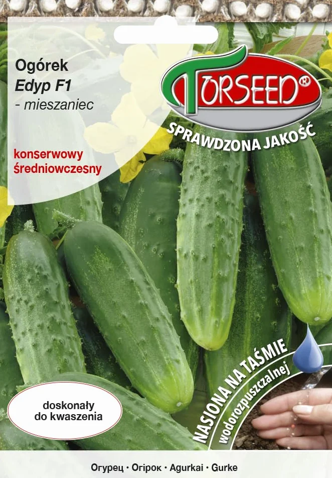 Swift Green Edyp Cucumis sativus nasiona ogórków średnio wczesna odmiana wysoka odporność na choroby taśma rozpuszczalna w wodzie 40 nasion