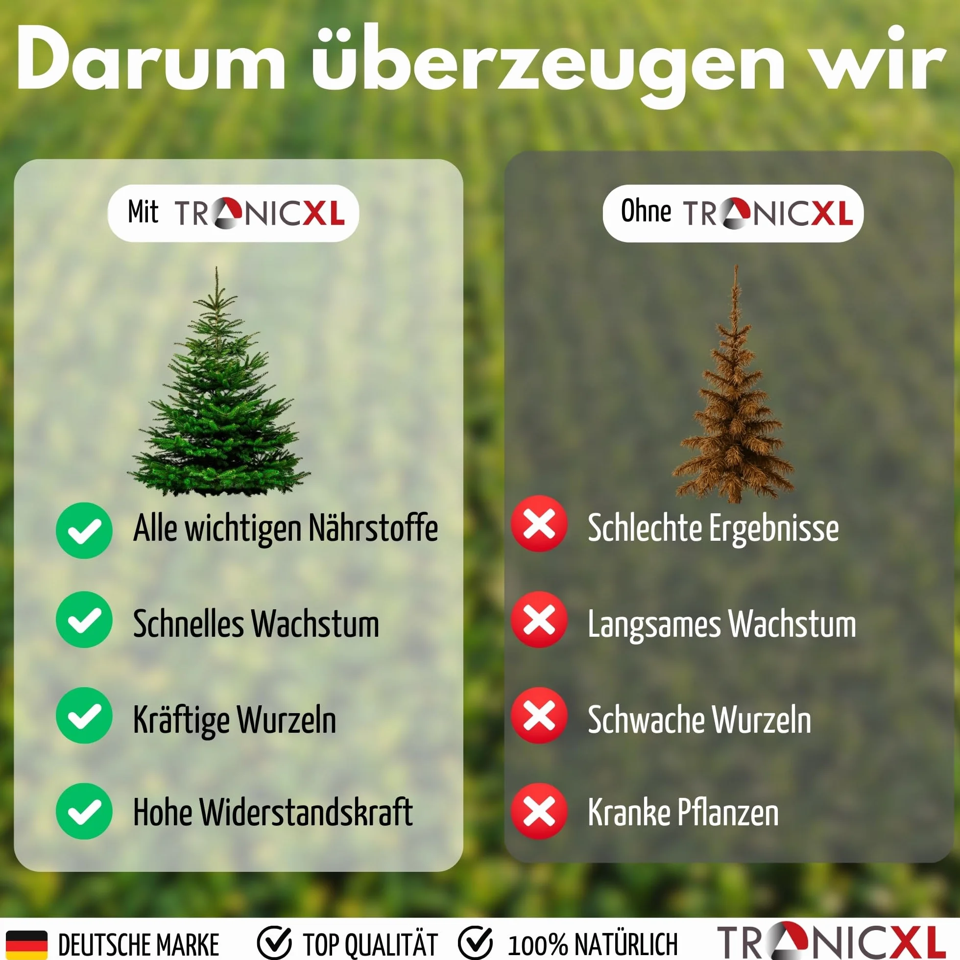 Organiczny płynny nawóz do drzew iglastych 1 l do tui, sosny, świerku, jodły