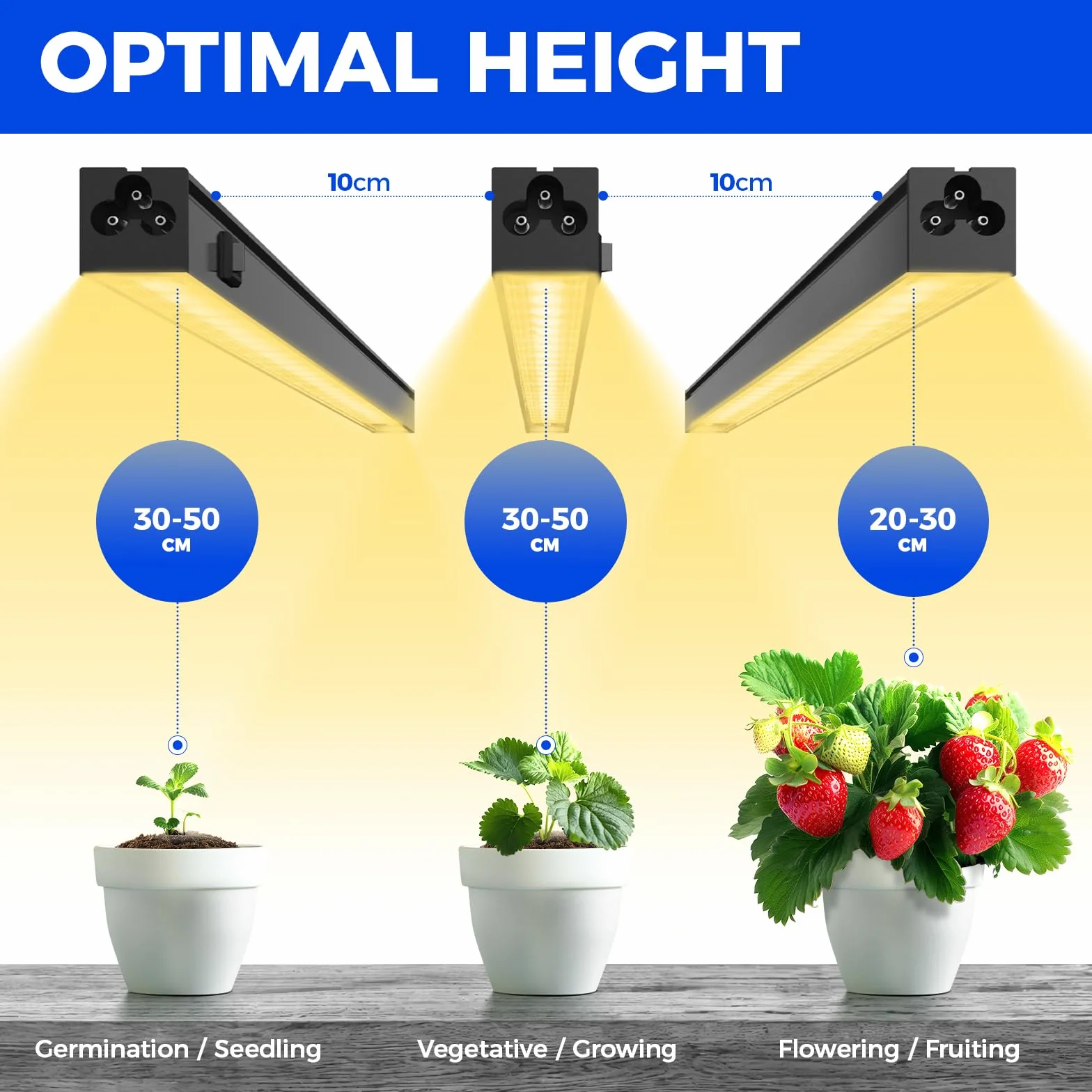 Barrina T5 LED Lampa do Roślin Pełne Spektrum 29cm Zestaw 4 szt