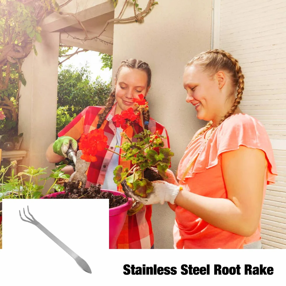 Haofy Bonsai Grabie Korzeń ze Stali Nierdzewnej 3-Oczka Narzędzia do Drzewa Ergonomiczny Uchwyt