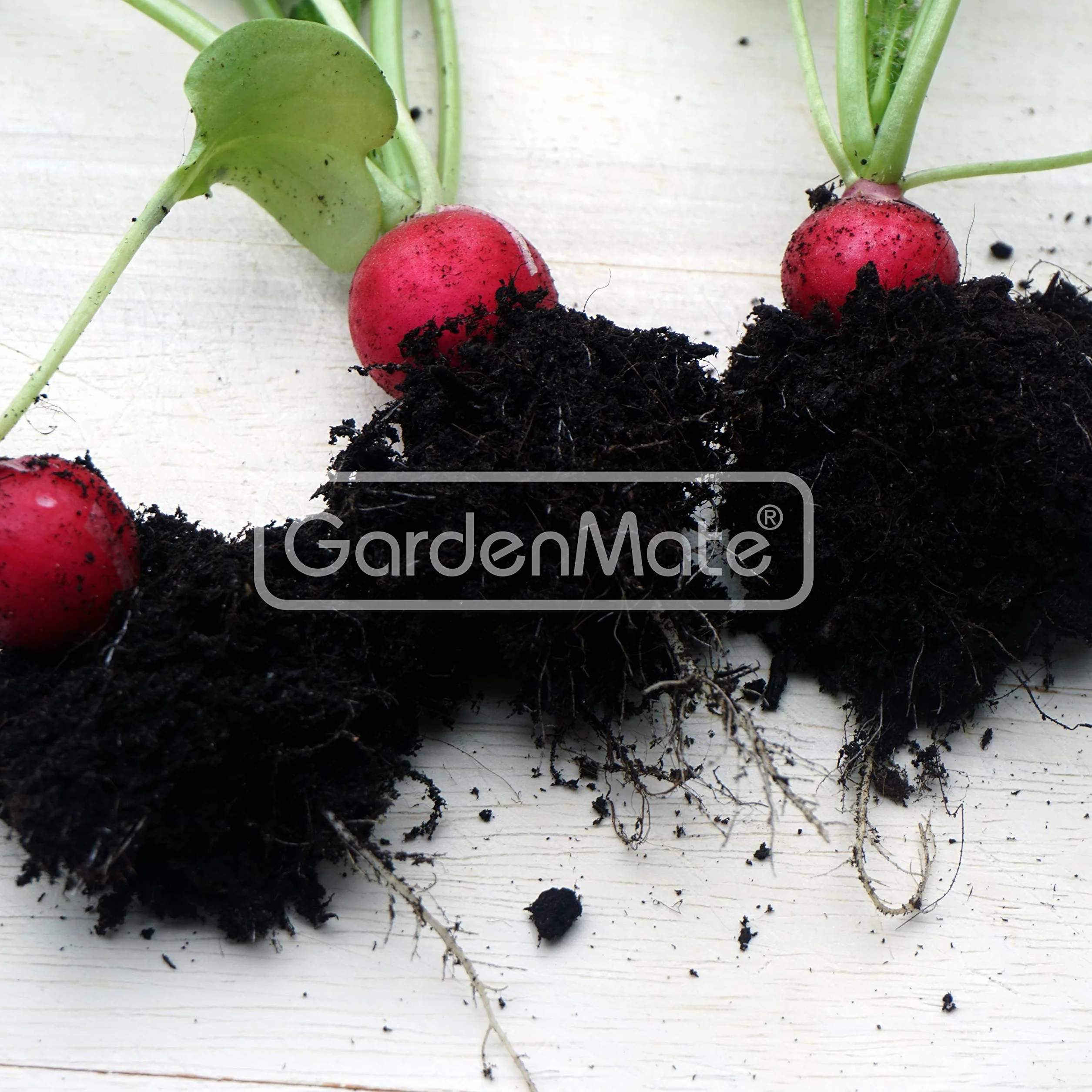GardenMate BLACKLINE worek do roślin 20 l z włókniny Ø 31 cm wysokość 26 cm