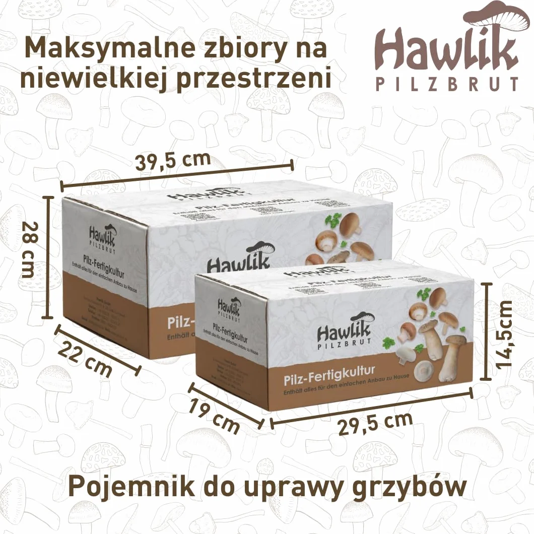 Hawlik Pilzbrut Grzybnia Duży zestaw do uprawy grzybów białych