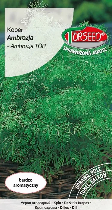 Nasiona kopru Ambrosia (Anethum graveolens) – aromatyczny smak, bogaty w olejki eteryczne, idealne do użytku kulinarnego, wszechstronne od świeżych do konserwowanych, sadzenia od marca do