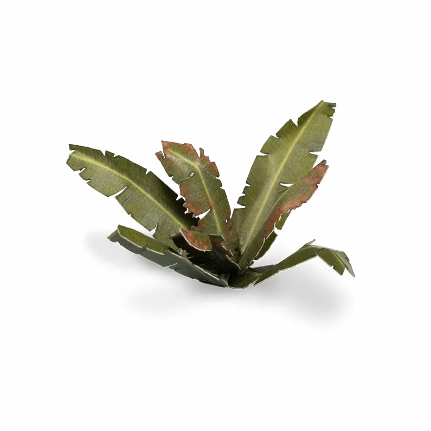 Gamers Grass Laser Plants Banana Tree
