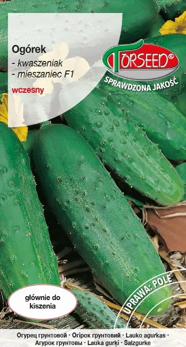 Julian F1 Cucumis sativus nasiona ogórków wczesna hybryda wysoka wydajność do marynowania odporna na choroby (3 g)