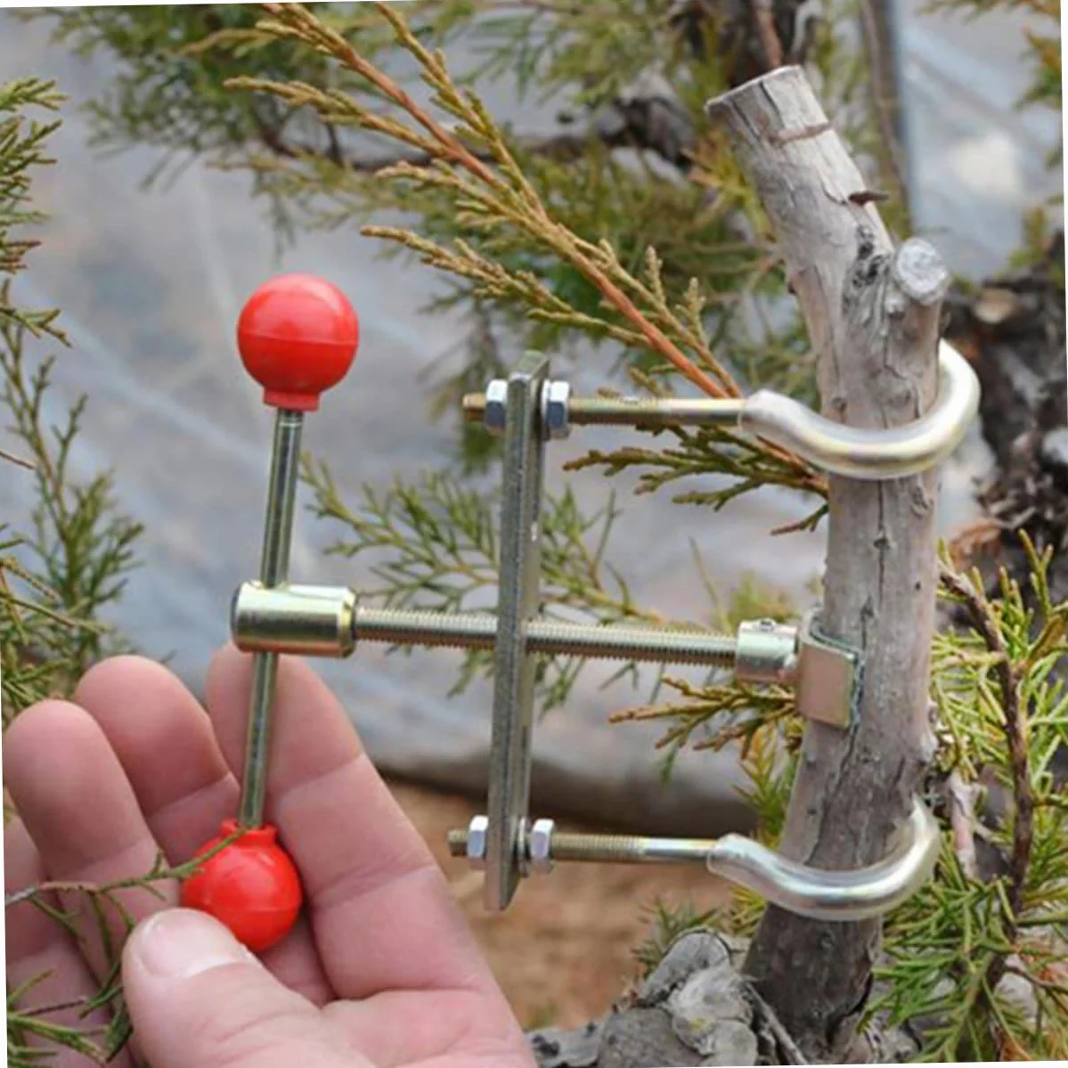 INOOMP Narzędzie Do Formowania Bonsai 4szt z Regulatorem Gałęzi Żelazne
