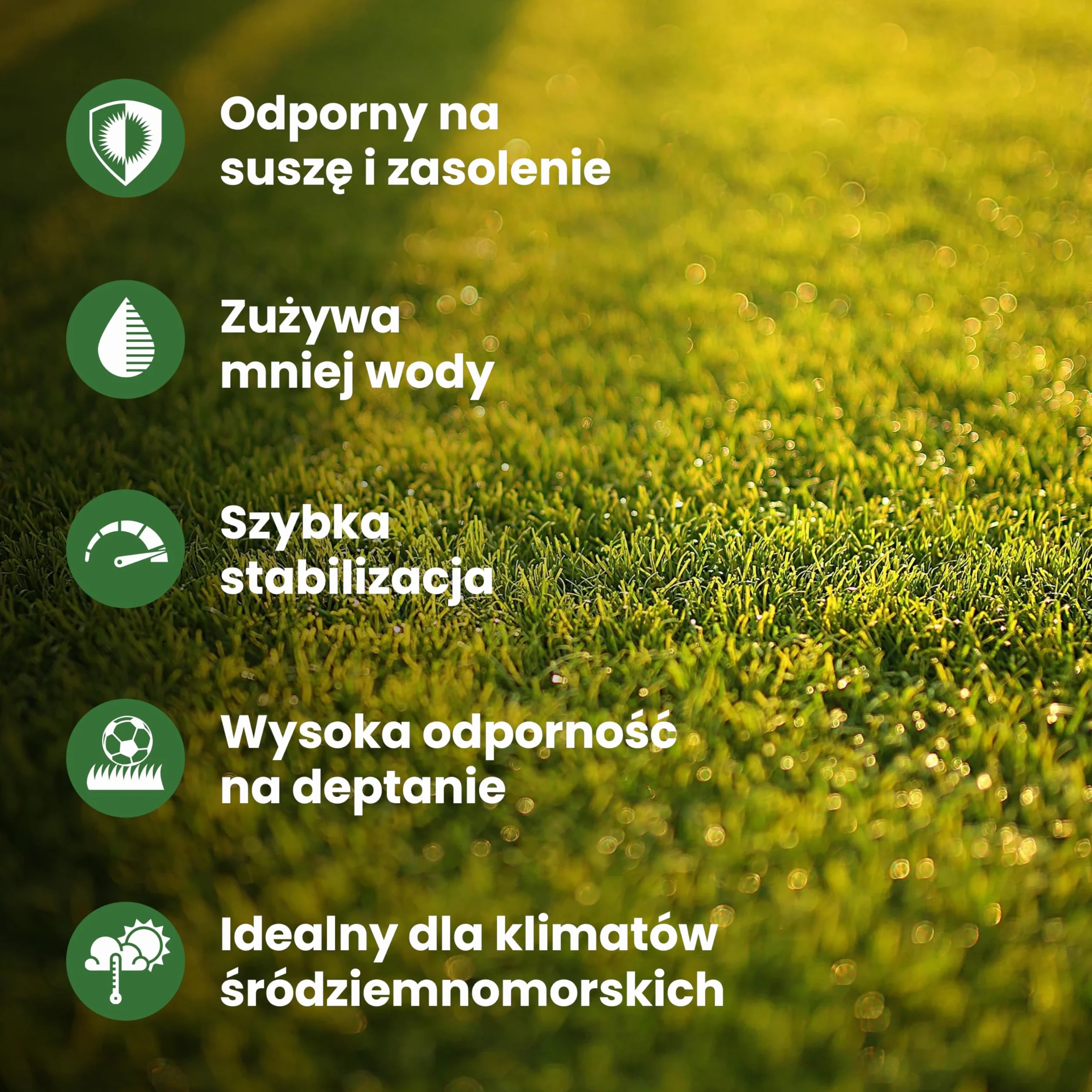 LERAVA® EXPRESS nasiona trawy 70m² szybki wzrost odporność na deptanie trawa regeneracyjna do ogrodów słonecznych i półcienistych odporna na suszę 1,8 kg
