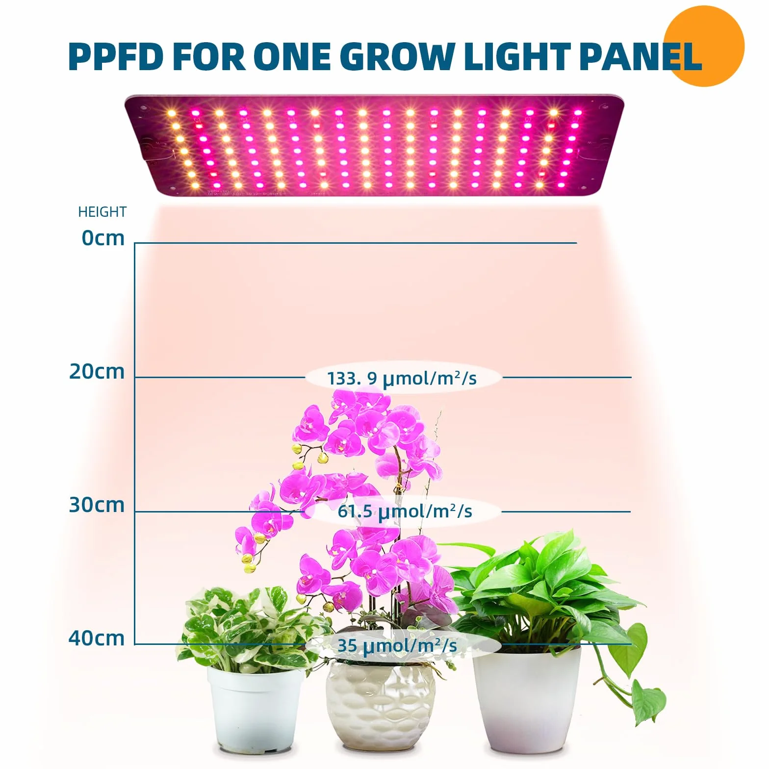 Barrina Lampa LED do uprawy roślin, 20W (2 x 10W) ultracienki panel świetlny do pełnym spektrum z timerem, lampa LED hydroponiki, sadzonek, sukulentów, kwiatów i roślin, 2 szt
