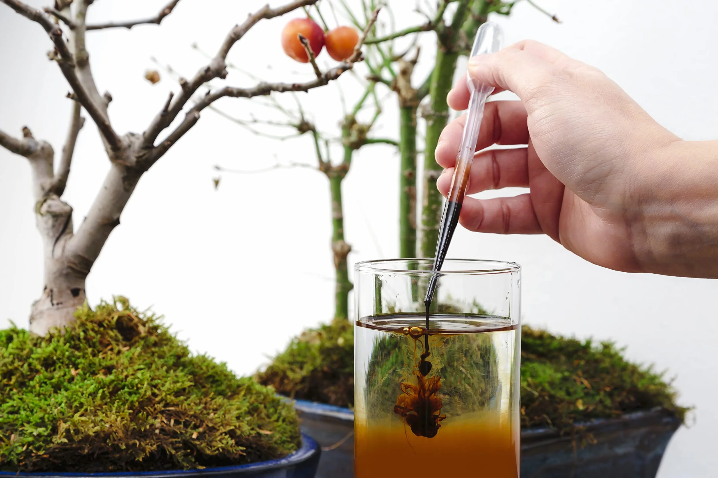 Japoński tradycyjny nawóz Bonsai w płynie z zakraplaczem 250ml