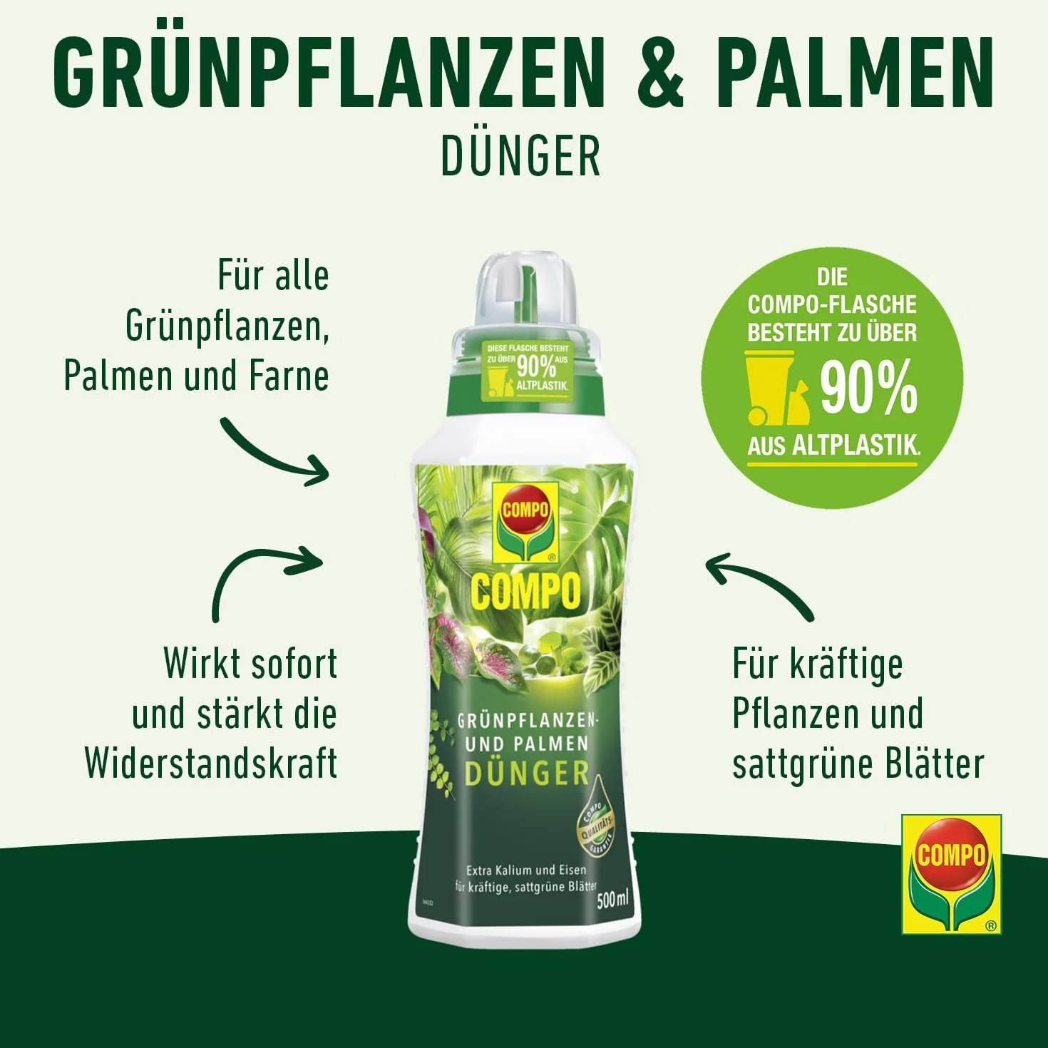 Compo Nawóz do roślin zielonych i palmowych 500 ml z potasem i żelazem