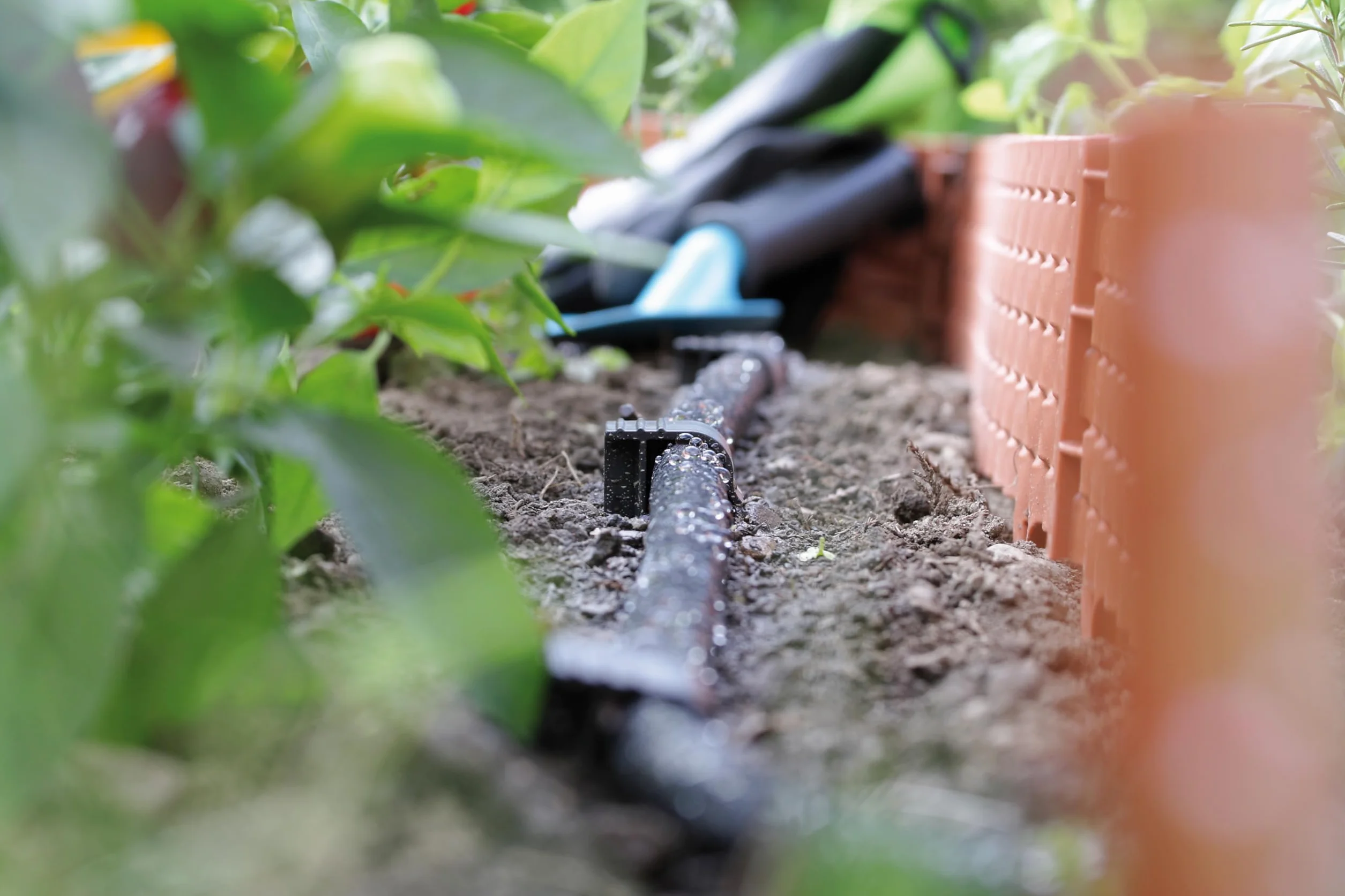 GARDENIX opakowanie 50 AquaPEG wąż ogrodowy kotwica uziemienia Spike kotwica montażowa do węża kroplowego Wtyczka węża perłowego widelec