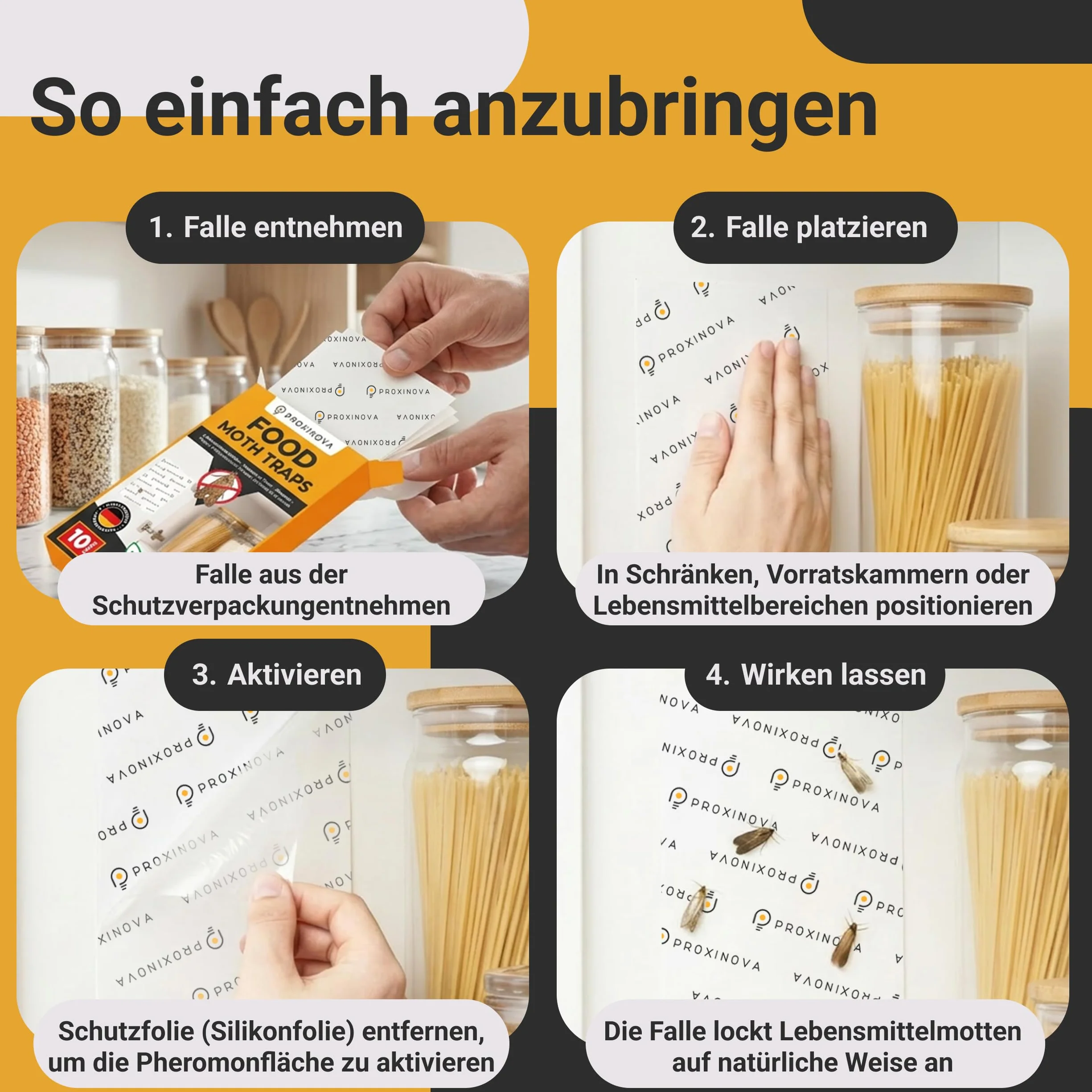 Pułapki na mole spożywcze – łapie mole i feromony owady pokarm dla dyskretnej kuchni, nietoksyczna do 3 miesięcy - Biocide Free - 12 kart - Made in Germany