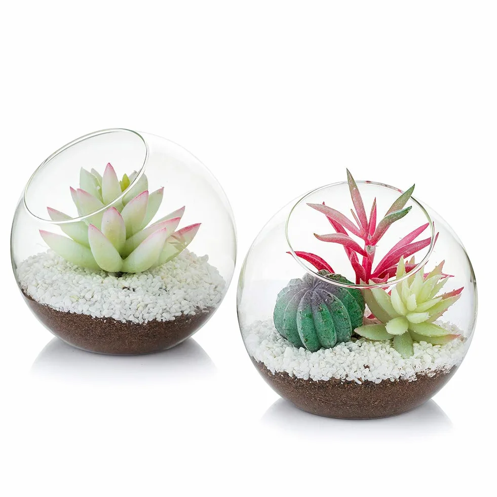 Terrarium na rośliny powietrzne, szklane pojemniki na wazon 12 cm (2 szt.), ekspozycja stołowa na sukulenty, kaktus, świecę