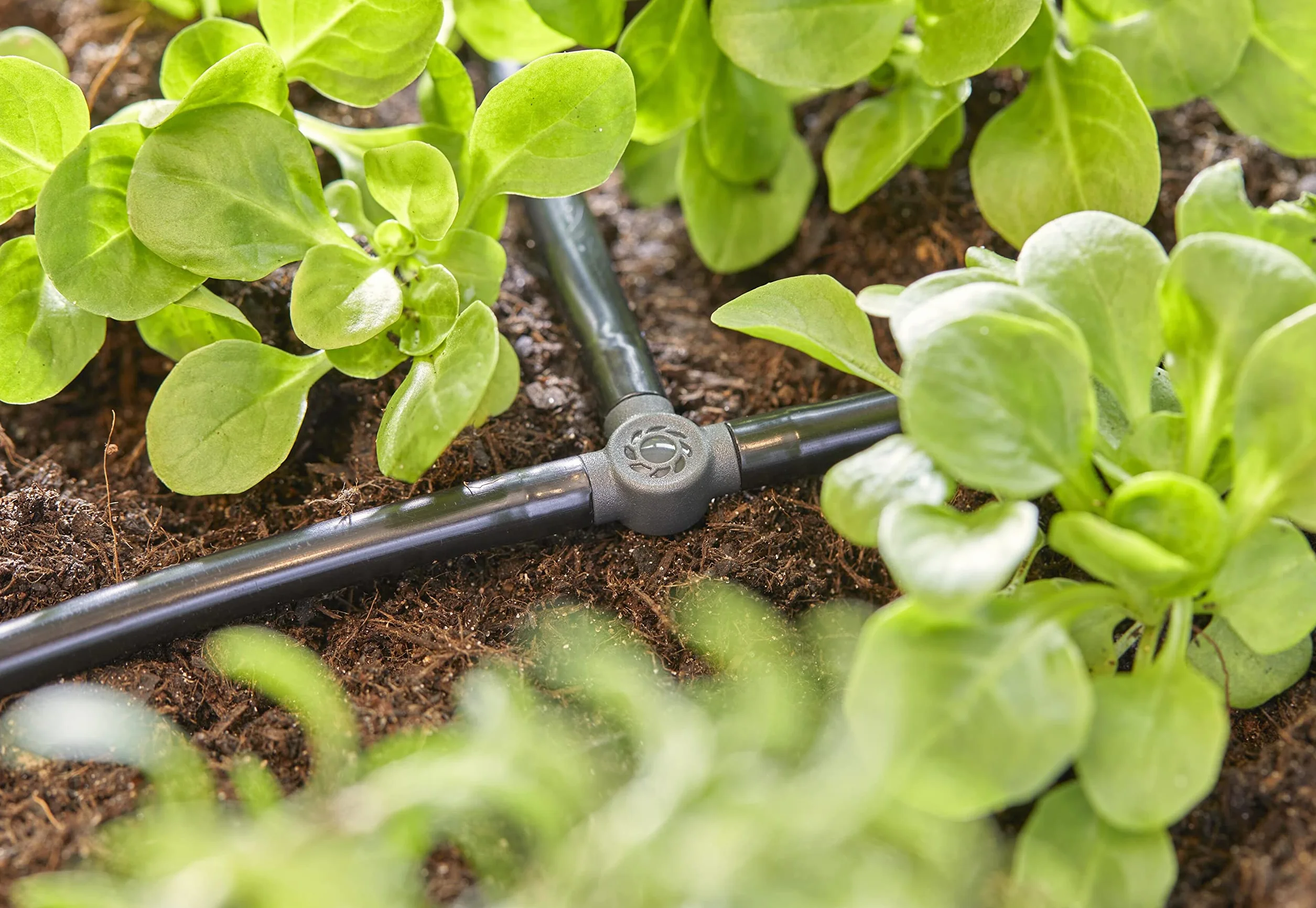 Gardena System Micro-Drip trójnik 4,6 mm (3/16 cala): Akcesoria do odgałęziania rur rozprowadzających i kroplujących, do instalacji bez zagięć, z techniką połączeniową Easy & Flexible (13211-20)