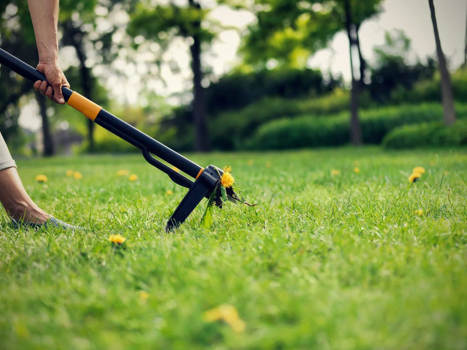 Fiskars Xact Chwastownik