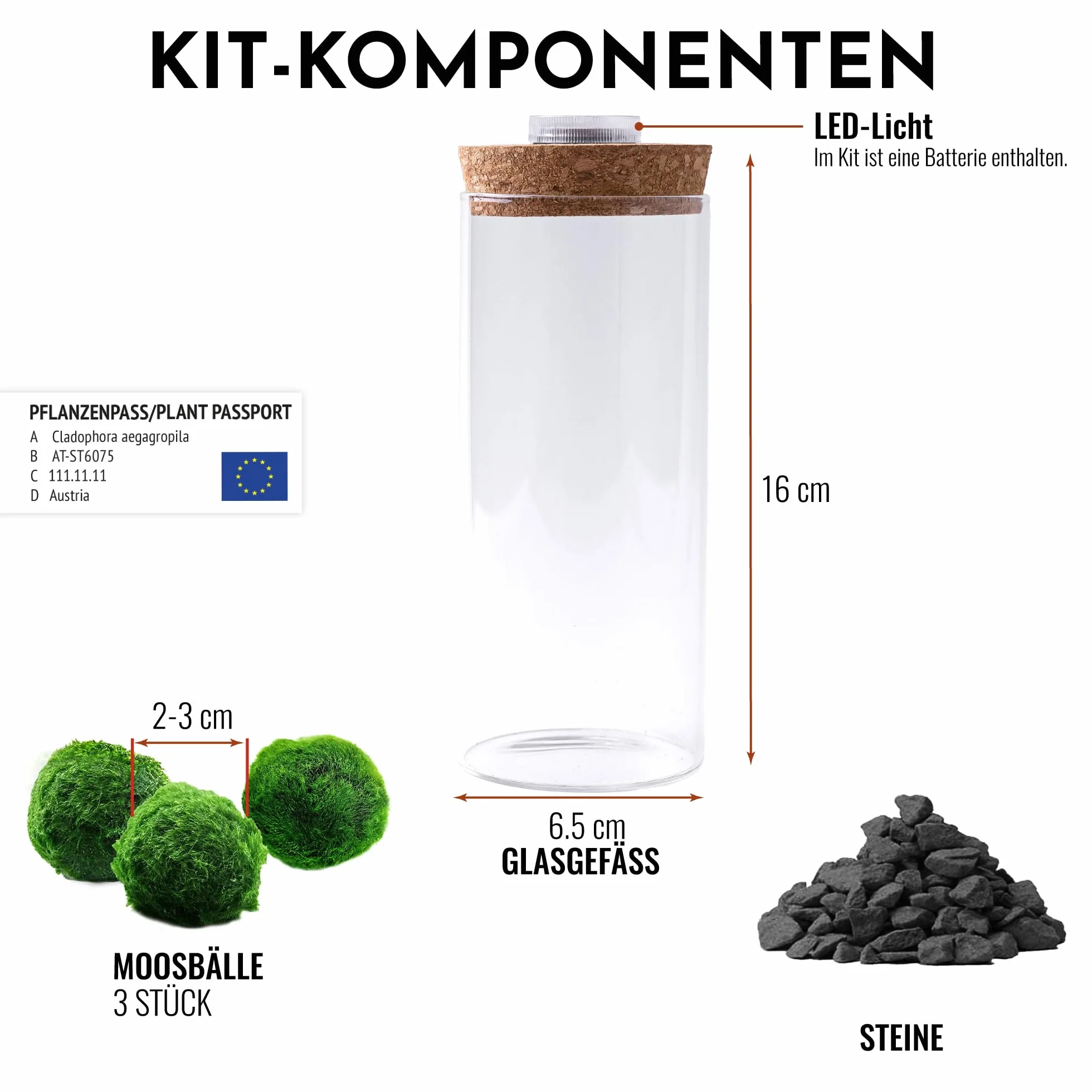 Mosball zestaw szklanych terrarium z żywymi kulami mchu światło wzrostu 7,9 x 6,3 cm