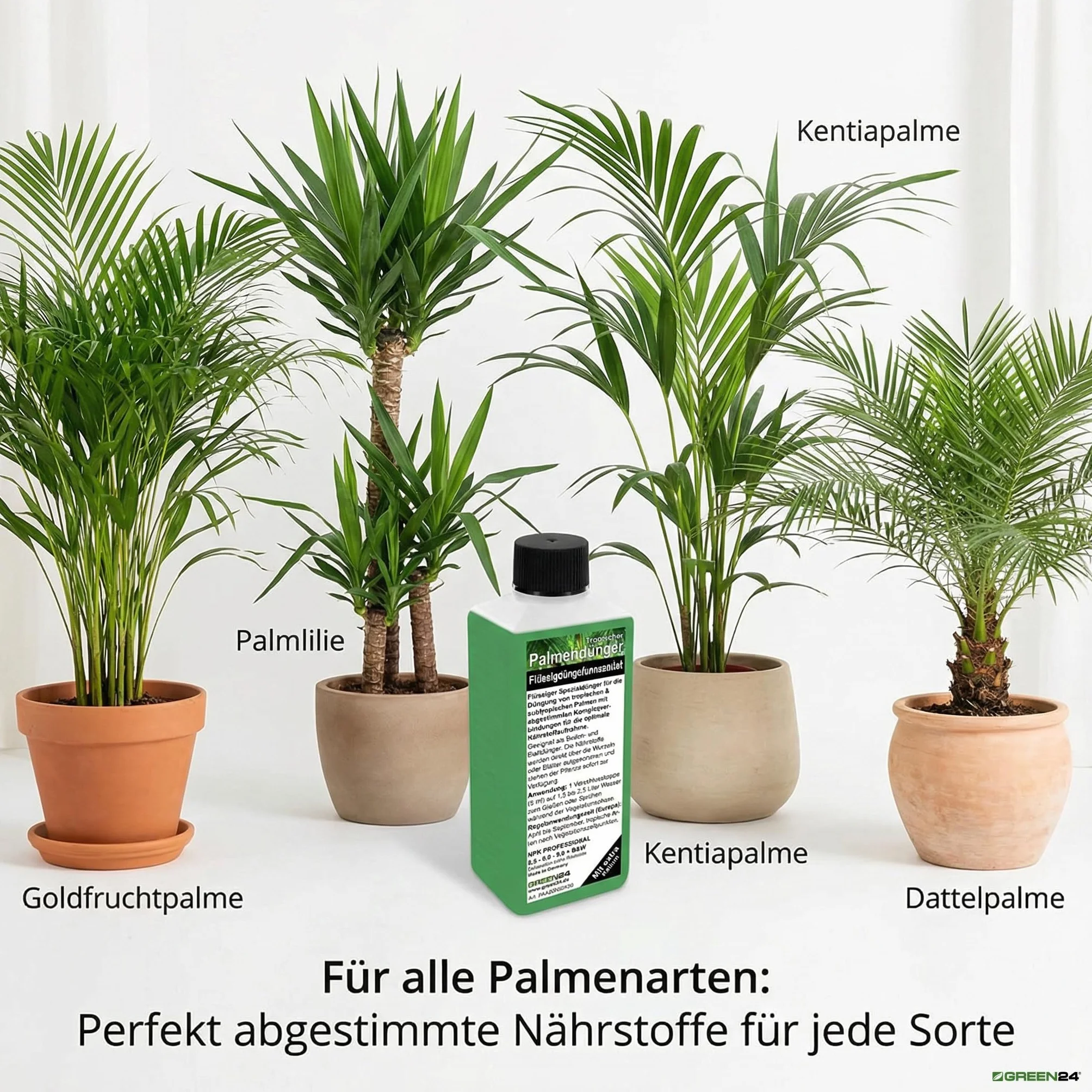 GREEN24 Nawóz do Palm, Profesjonalny Nawóz do Korzeni + Dolistny HIGH-TECH