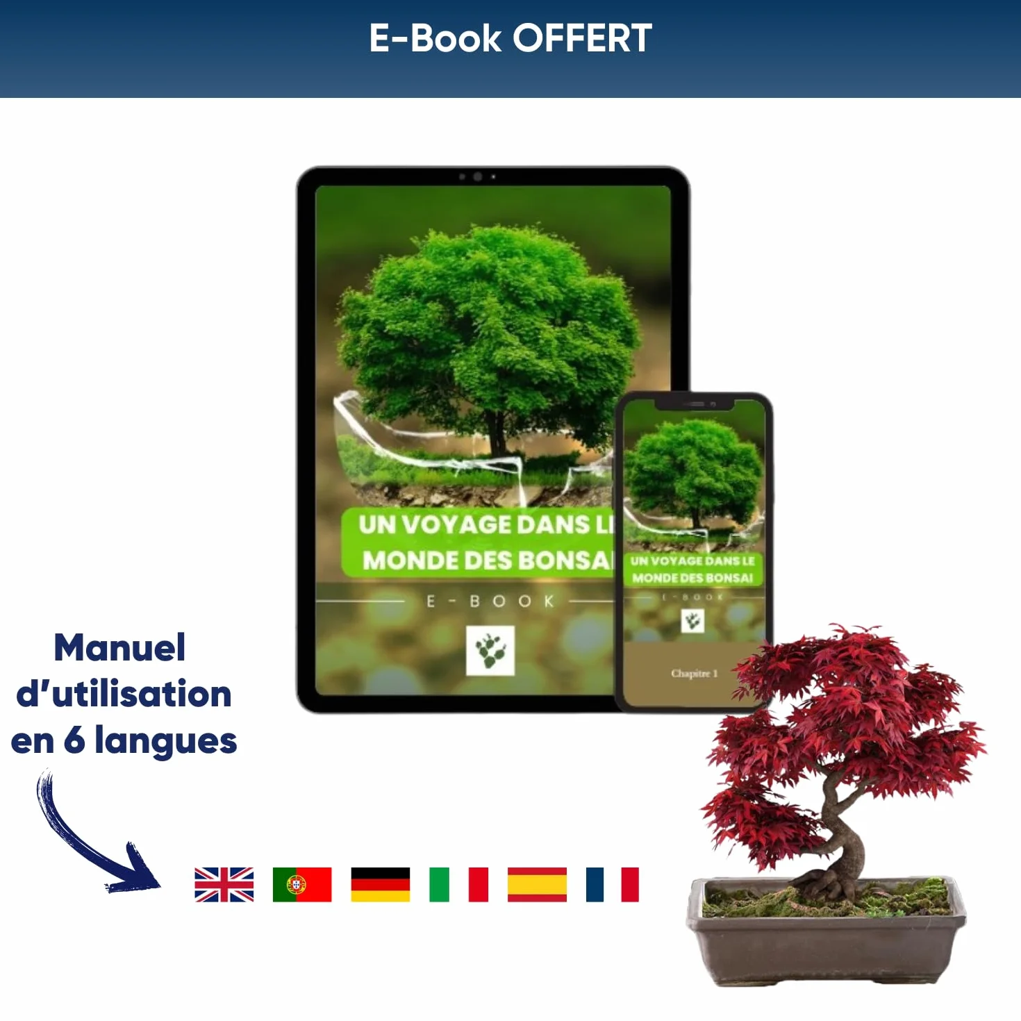 NOPALIA® Zestaw Bonsai do uprawy z nasionami, prezent dla dorosłych i dzieci