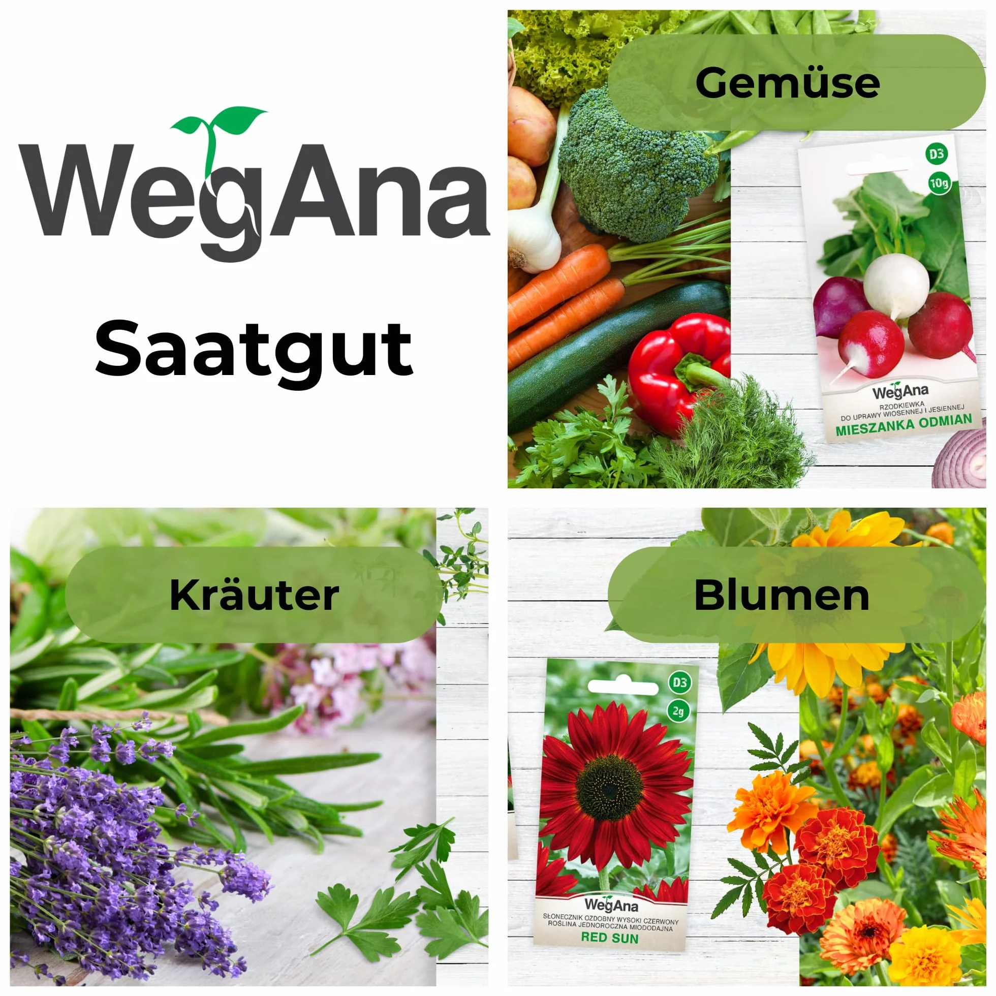 Rzodkiewka mieszanka odmian 10g - WegAna