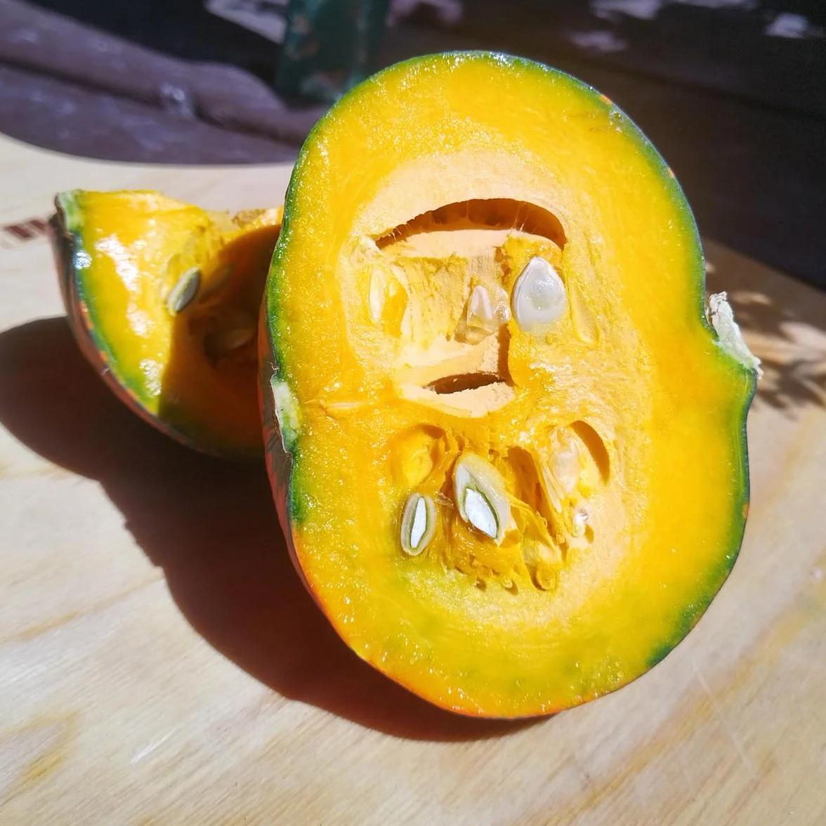 Dynia Golden Nugget Cucurbita maxima 7-pestkowa odmiana z USA