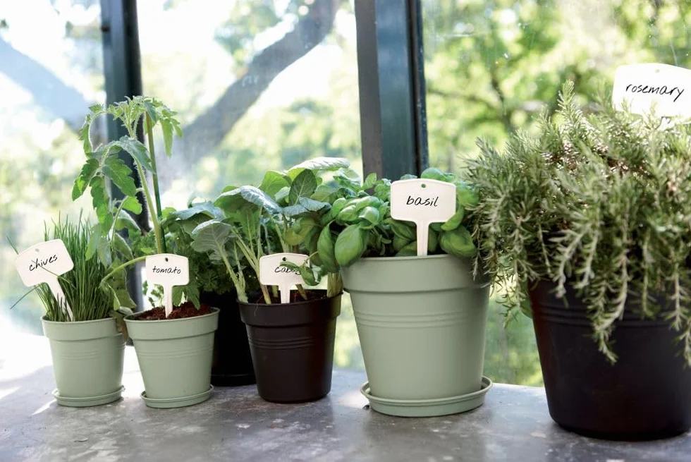 elho Green Basics doniczka do uprawy Ø 17 x wys. 15,8 cm zielona kamienna zieleń