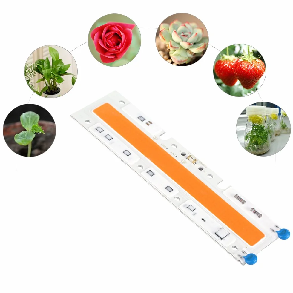Pełne spektrum LED Oświetlenie do uprawy roślin COB Chip 220V 30/50/70W Hydroponika szklarniowa doniczkowe