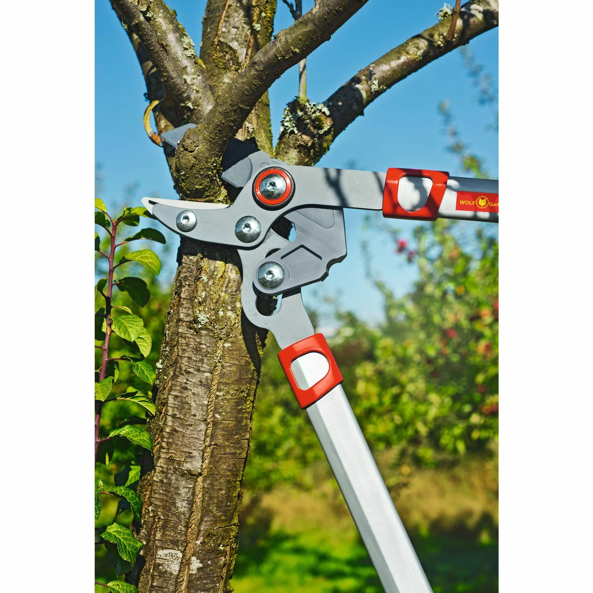 Wolf Garten "Power CUT RS 650" Lopper, czerwony/żółty/srebrny, 66 x 21 x 3,3 cm