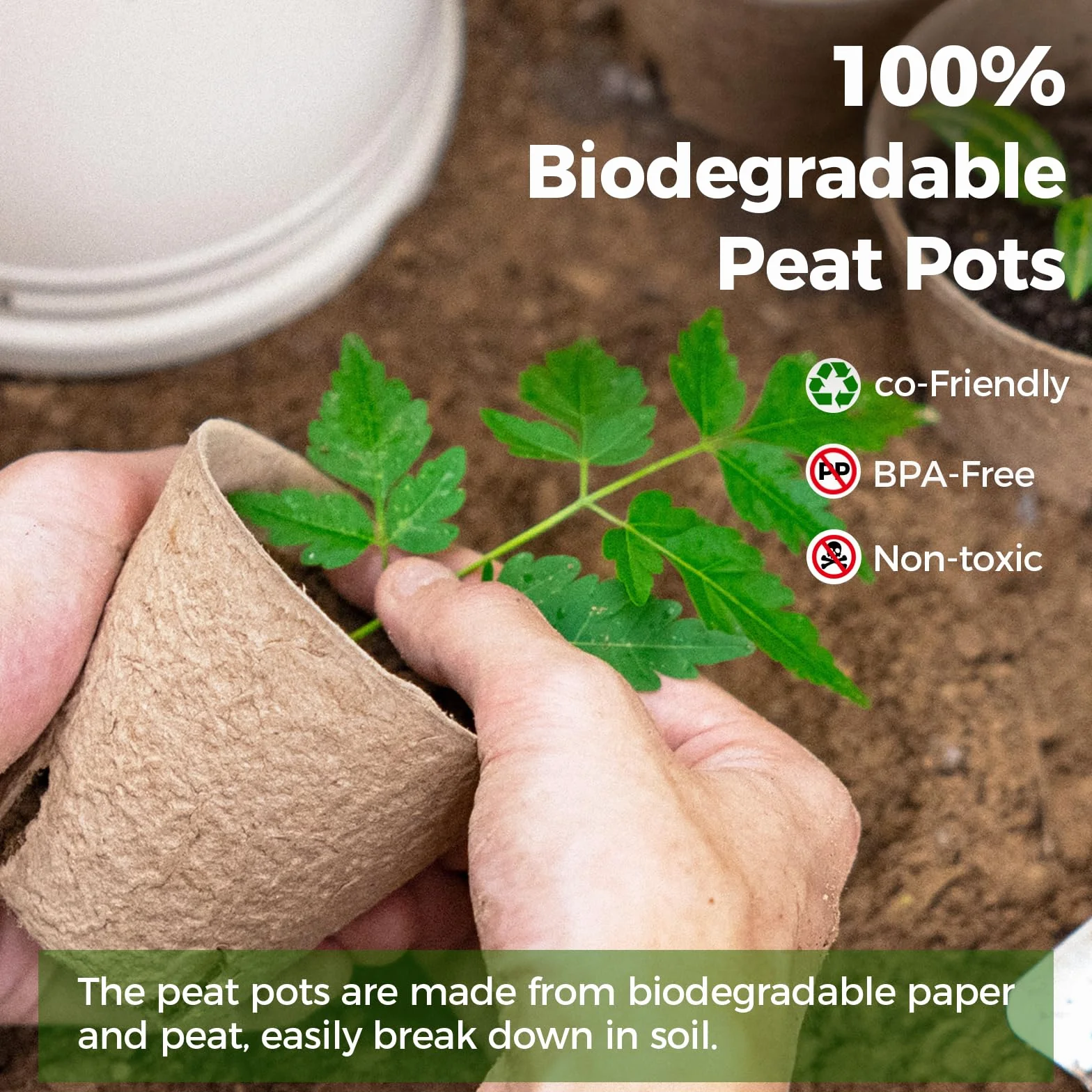 Bamworld 100 Szt. Biodegradowalne Doniczki Szkółkarskie 8cm z Drenażem