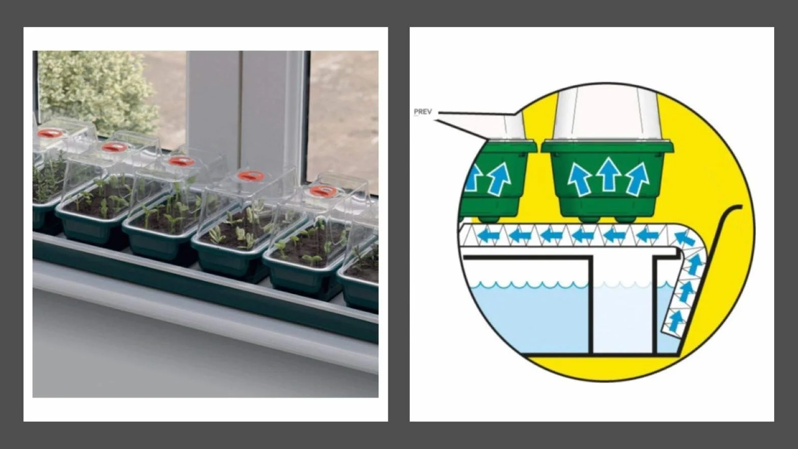 Garland GAL16SW Super 7 samonawadniający się propagator parapetowy zielony