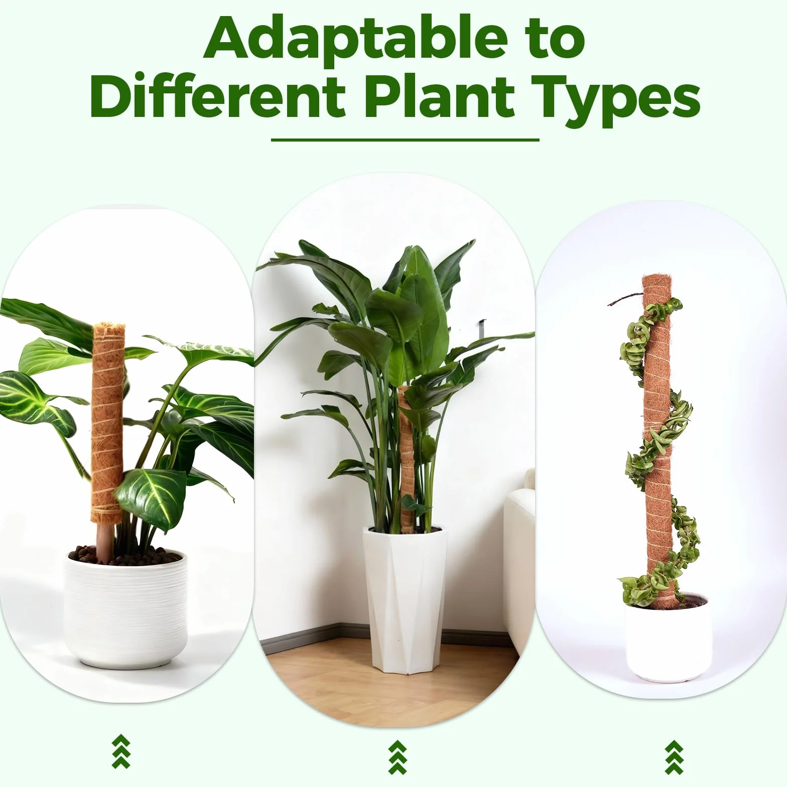 Bamworld 4 sztuki słupki z mchu 41,9 cm kokosowe podpórki do roślin Monstera