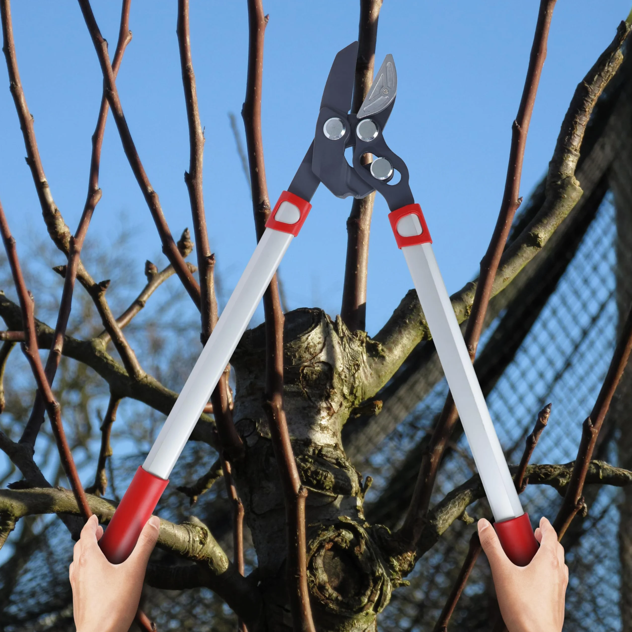Wolf Garten "Power CUT RS 650" Lopper, czerwony/żółty/srebrny, 66 x 21 x 3,3 cm