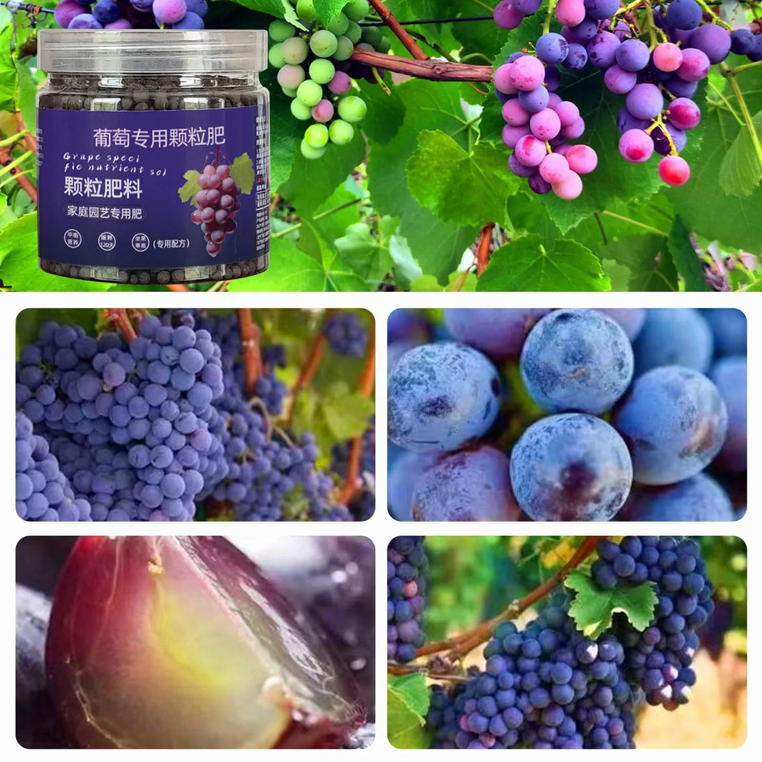 Organiczny Nawóz Owocowy do Winogron o Powolnym Uwalnianiu Granulat Fosforowy