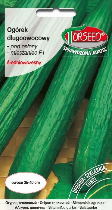 Cucumis sativus nasiona ogórków hybryda szklarniowa o długich owocach 1 g